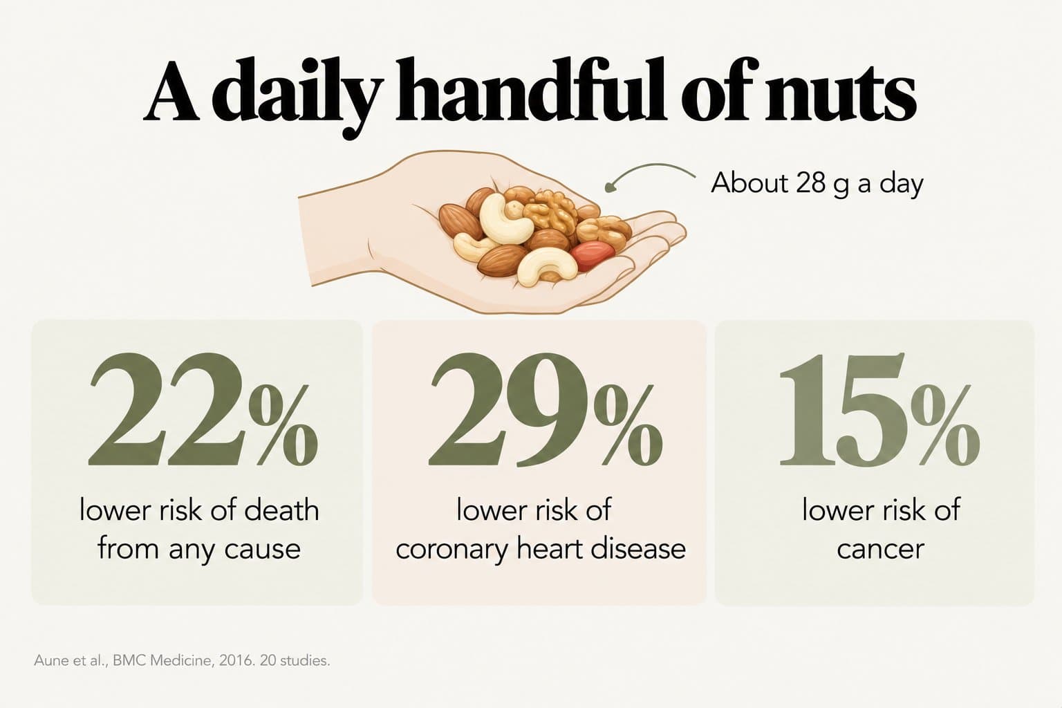 Stat tiles, a daily handful of nuts: about 28 g a day was linked to a 22% lower risk of death from any cause, 29% lower risk of coronary heart disease and 15% lower risk of cancer (Aune et al., BMC Medicine, 2016, 20 studies)