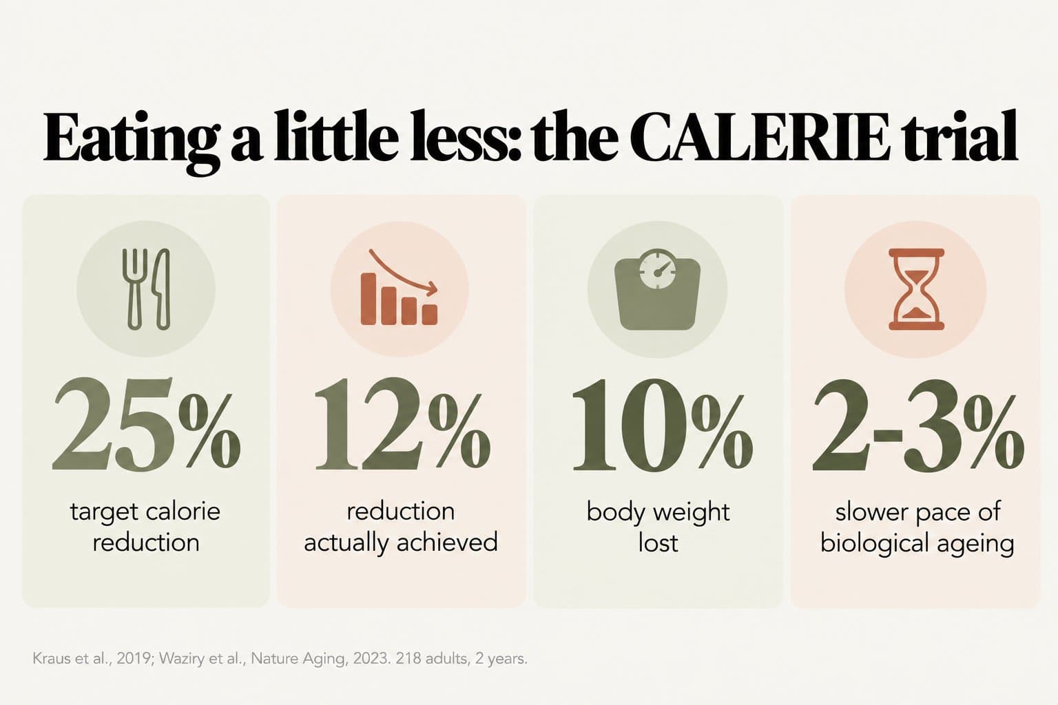 Stat tiles, eating a little less: the CALERIE trial. Participants aimed for a 25% calorie reduction, achieved 12%, lost 10% of body weight and slowed their pace of biological ageing by 2-3% (Kraus et al., 2019; Waziry et al., Nature Aging, 2023; 218 adults, 2 years)