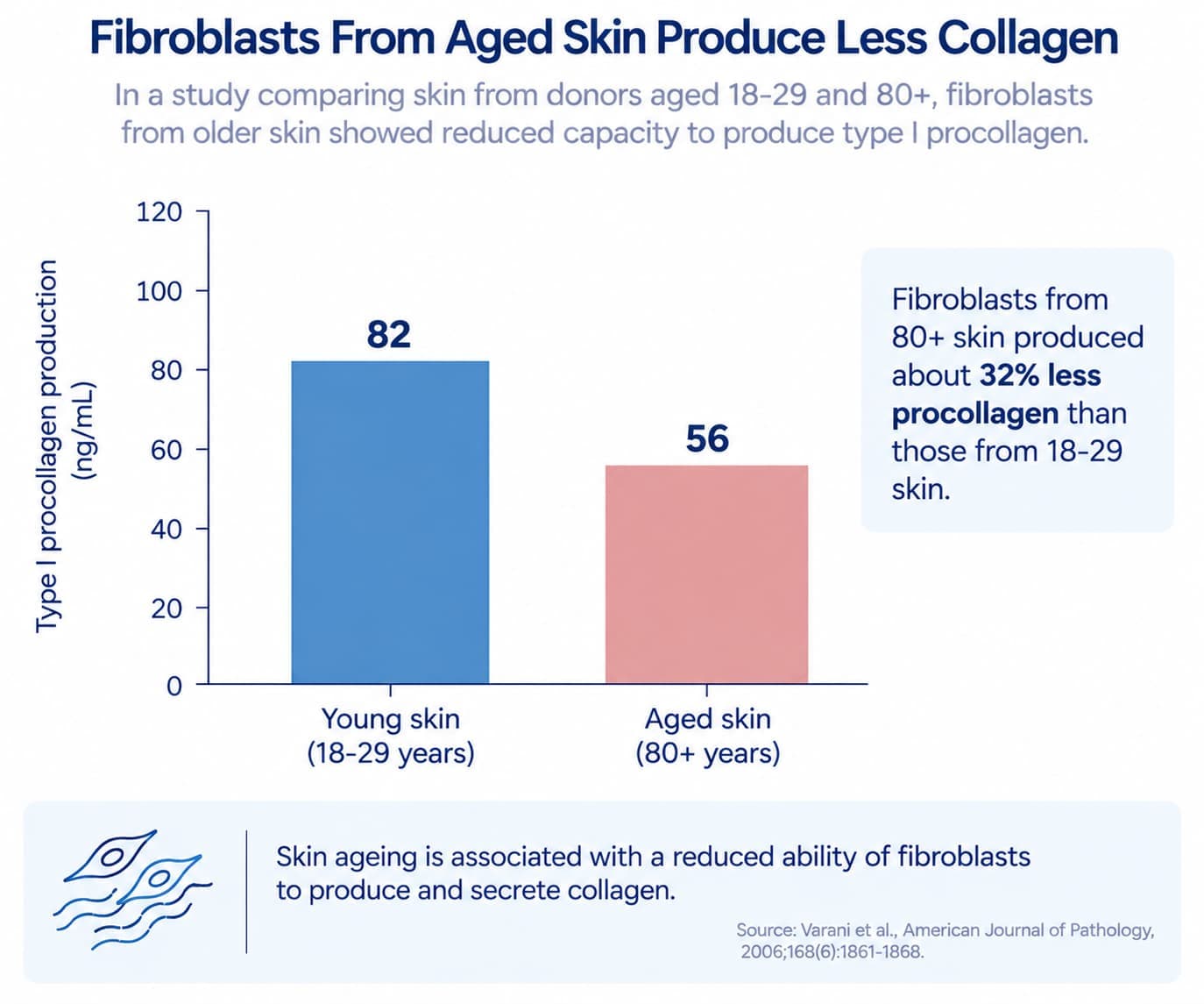 A bar chart comparing type I procollagen production in fibroblasts from young skin versus aged skin, from Varani et al. 2006