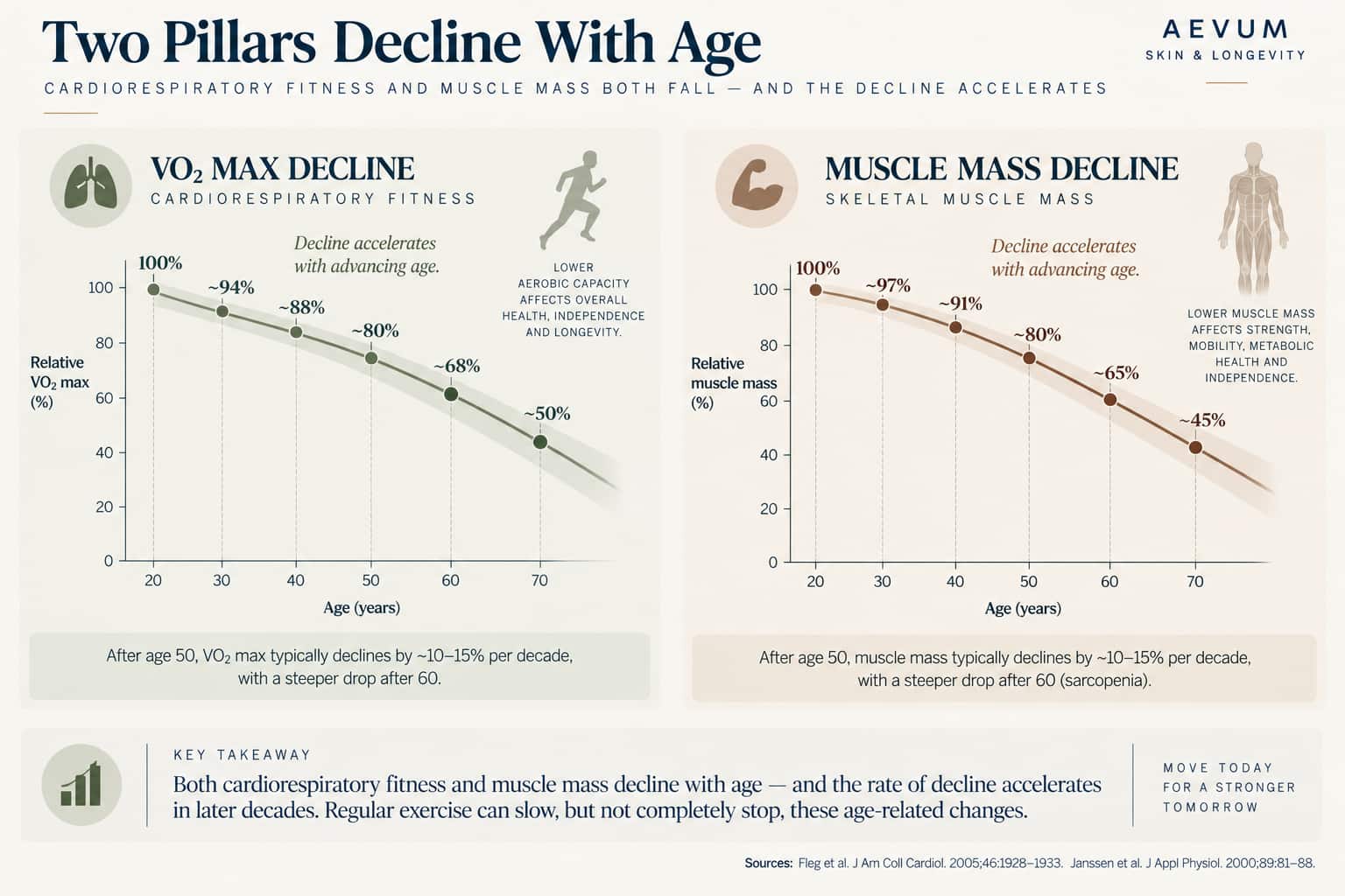 Side-by-side comparison of VO2 max decline and muscle mass decline curves by age, both showing an accelerating rate of loss with advancing age