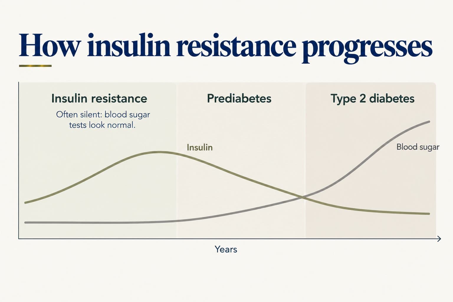 Line diagram over the years through three stages, insulin resistance, prediabetes and type 2 diabetes: insulin rises and peaks during insulin resistance, then falls, while blood sugar stays flat at first (often silent: blood sugar tests look normal), rises gently in prediabetes and then steeply in type 2 diabetes