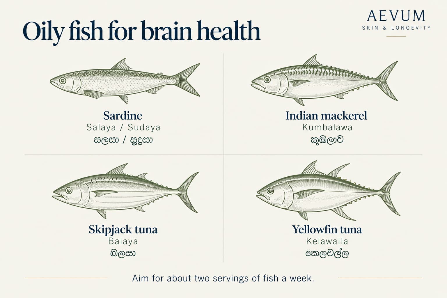 Illustrated guide to oily fish in Sri Lanka with English and Sinhala names: sardine (salaya / sudaya), Indian mackerel (kumbalawa), skipjack tuna (balaya) and yellowfin tuna (kelawalla), with the advice to aim for about two servings of fish a week