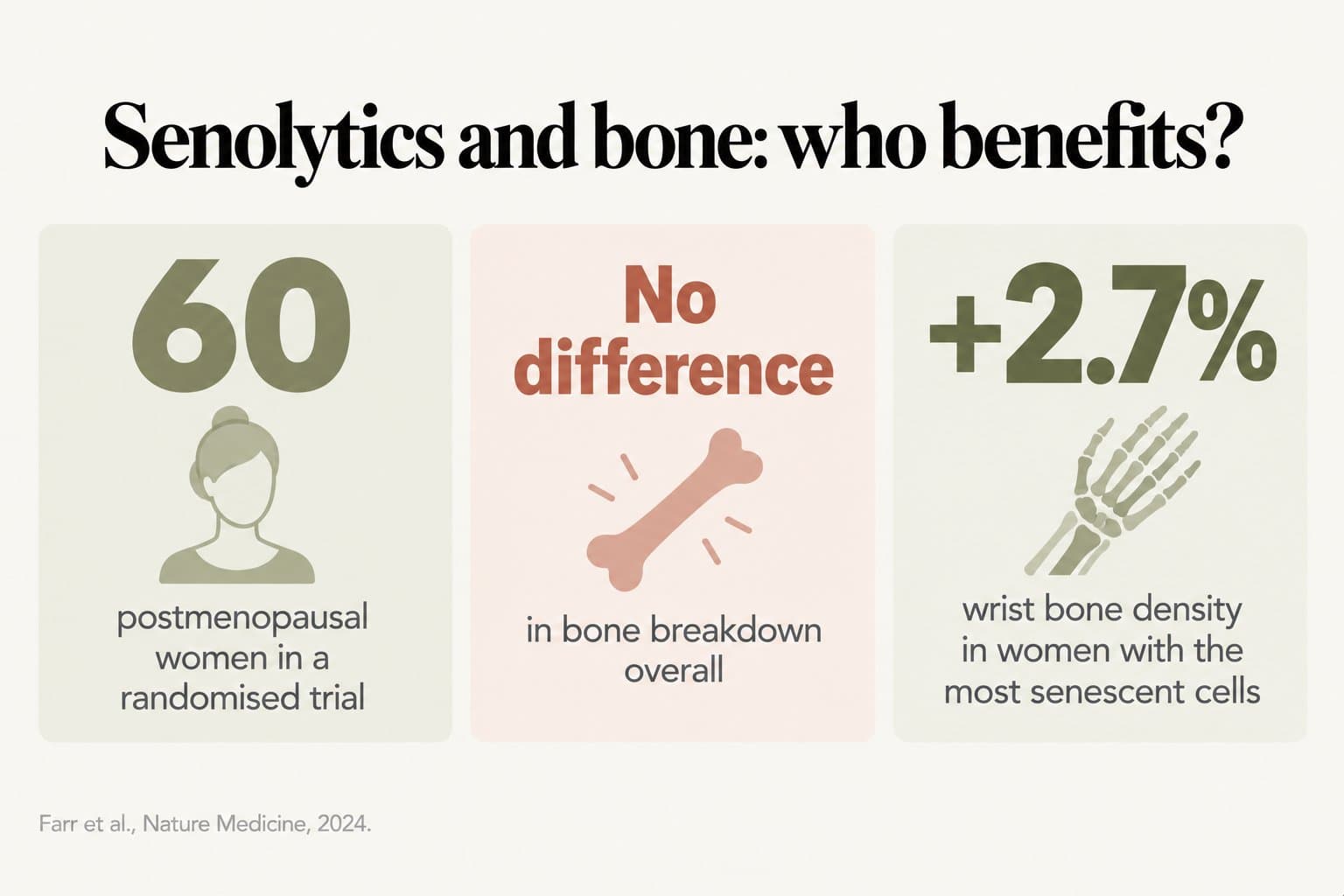 Stat tiles, senolytics and bone: who benefits? 60 postmenopausal women in a randomised trial, no difference in bone breakdown overall, and a 2.7% increase in wrist bone density in women with the most senescent cells (Farr et al., Nature Medicine, 2024)