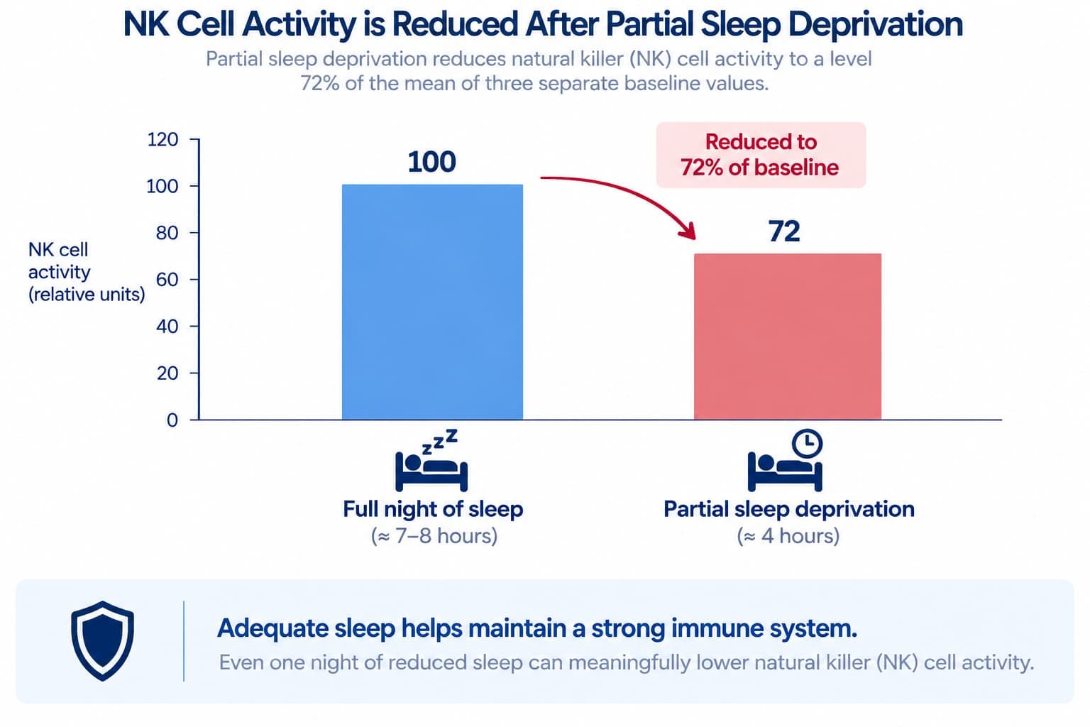 A diagram showing a T cell binding effectively to a target cell after sleep, versus reduced binding capacity after sleep loss