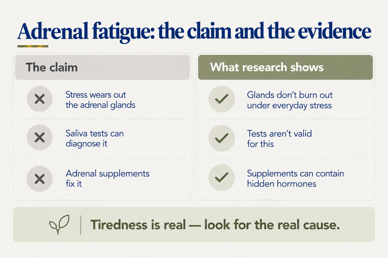 Two-column graphic, adrenal fatigue: the claim and the evidence. The claim: stress wears out the adrenal glands, saliva tests can diagnose it, adrenal supplements fix it. What research shows: glands don't burn out under everyday stress, tests aren't valid for this, supplements can contain hidden hormones. Tiredness is real: look for the real cause