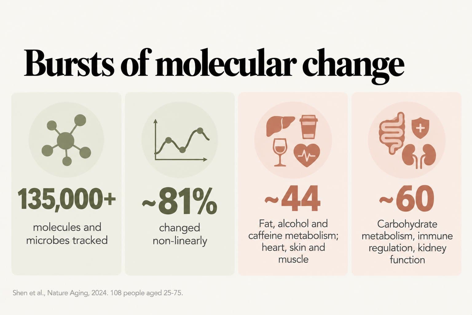 Stat tiles, bursts of molecular change: more than 135,000 molecules and microbes tracked, about 81% changed non-linearly, a burst around age 44 in fat, alcohol and caffeine metabolism, heart, skin and muscle, and a burst around age 60 in carbohydrate metabolism, immune regulation and kidney function (Shen et al., Nature Aging, 2024, 108 people aged 25-75)