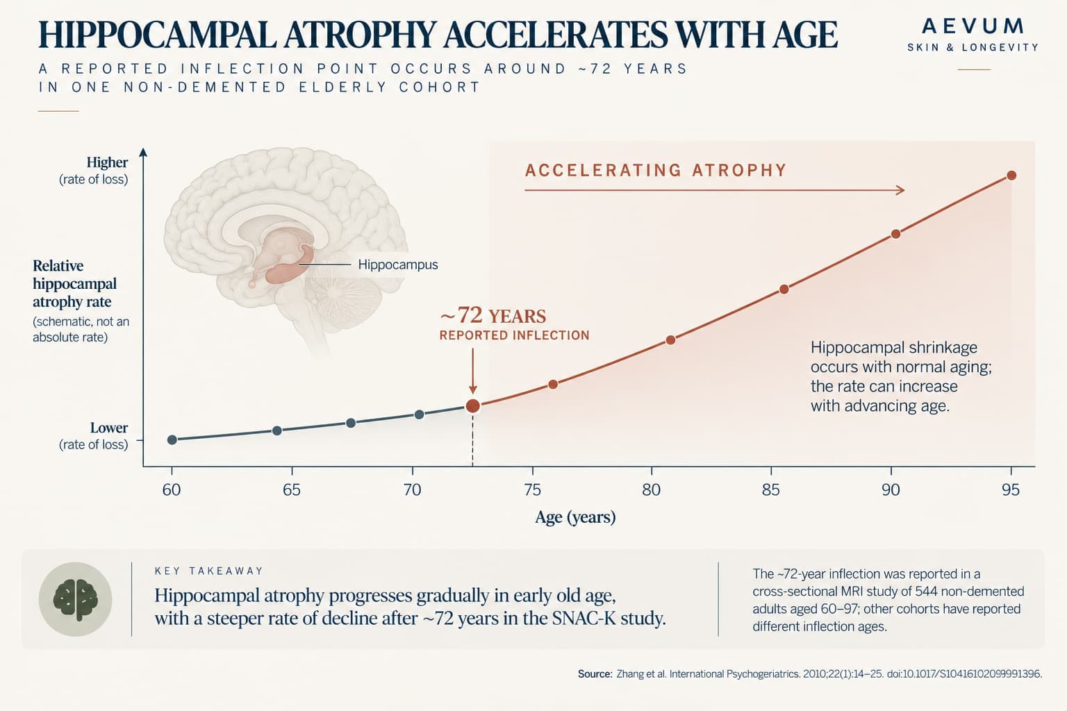 Line chart showing hippocampal atrophy rate accelerating after an inflection point around age 72, based on a study of 544 non-demented adults aged 60-97
