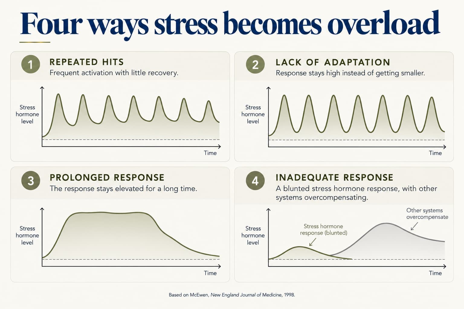Four small line graphs of stress hormone levels over time: repeated hits (frequent peaks with little recovery), lack of adaptation (the response stays high instead of getting smaller), prolonged response (stays elevated for a long time), and inadequate response (a blunted stress hormone response with other systems overcompensating). Based on McEwen, New England Journal of Medicine, 1998