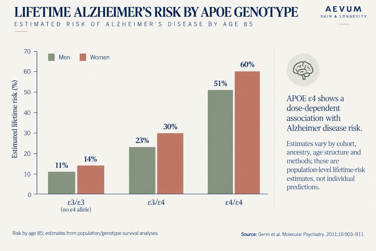 Grouped bar chart of estimated lifetime Alzheimer's risk by age 85: ε3/ε3 11% men and 14% women, ε3/ε4 23% men and 30% women, ε4/ε4 51% men and 60% women