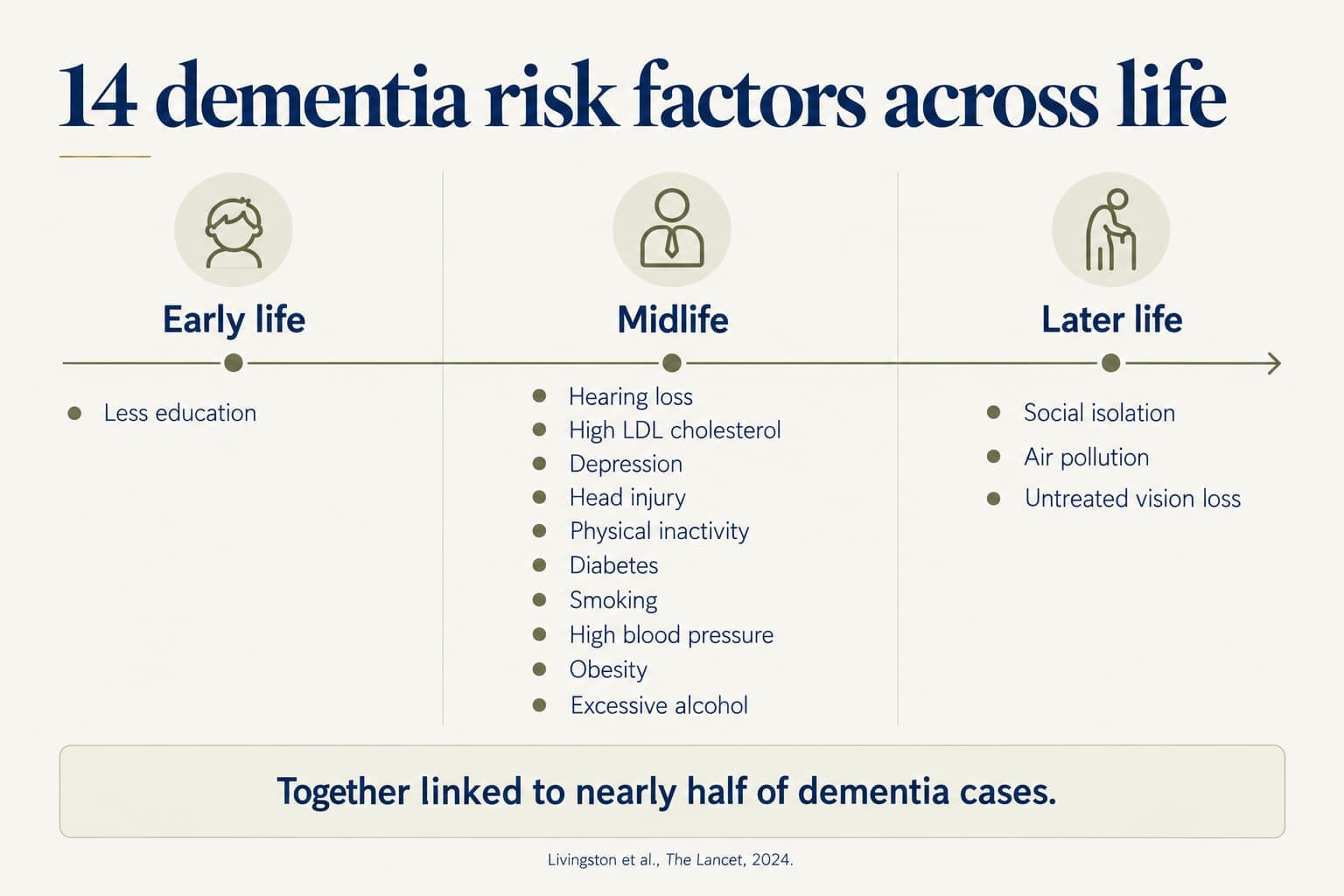 Life-course diagram of 14 dementia risk factors: early life, less education; midlife, hearing loss, high LDL cholesterol, depression, head injury, physical inactivity, diabetes, smoking, high blood pressure, obesity and excessive alcohol; later life, social isolation, air pollution and untreated vision loss. Together linked to nearly half of dementia cases (Livingston et al., The Lancet, 2024)