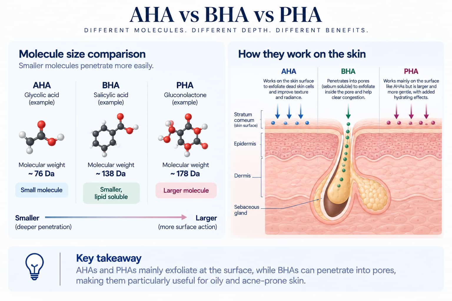 A diagram comparing AHA, BHA, and PHA molecules by size, alongside an illustration of AHAs working at the skin surface versus BHA penetrating into a sebum-filled pore
