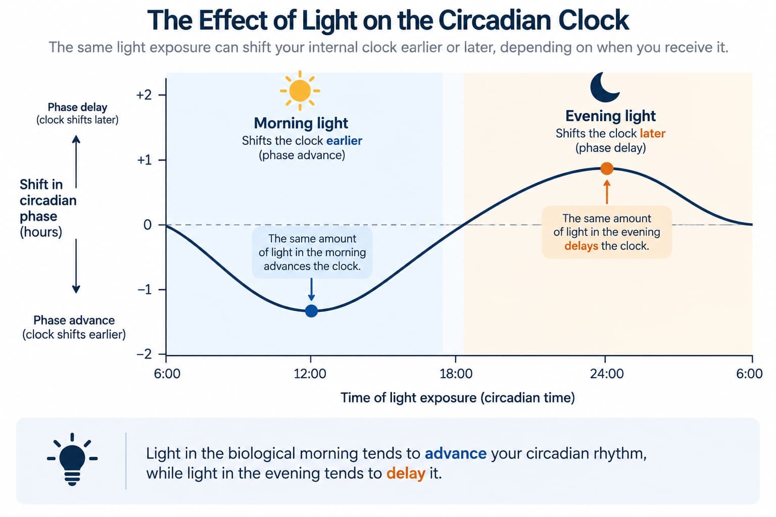 A phase-response curve showing how the same light exposure shifts the circadian clock earlier when received in the morning versus later when received in the evening
