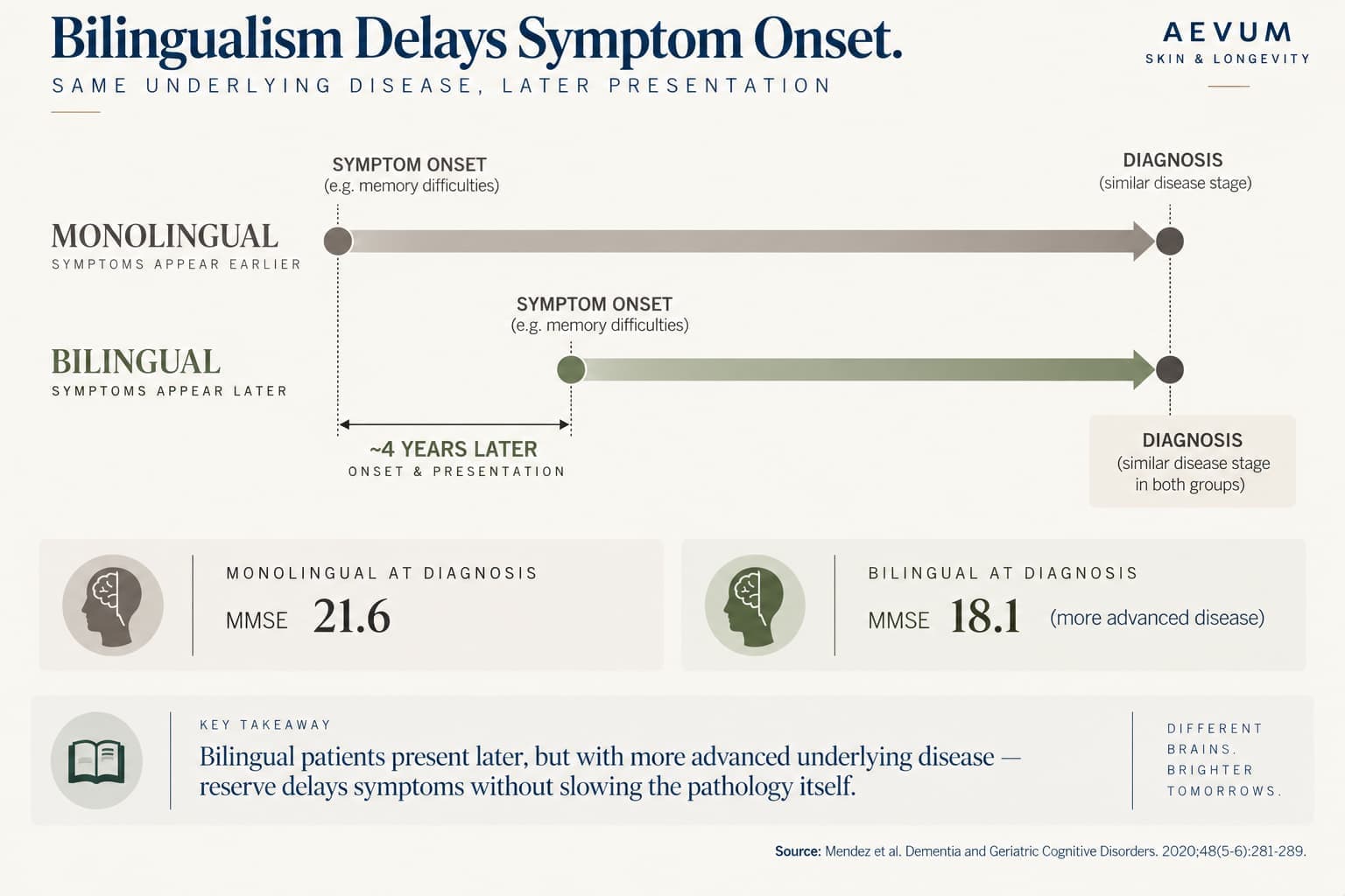 Timeline comparison showing bilingual Alzheimer's patients presenting with symptoms about 4 years later than monolingual patients, but with lower MMSE scores at diagnosis, indicating more advanced underlying disease