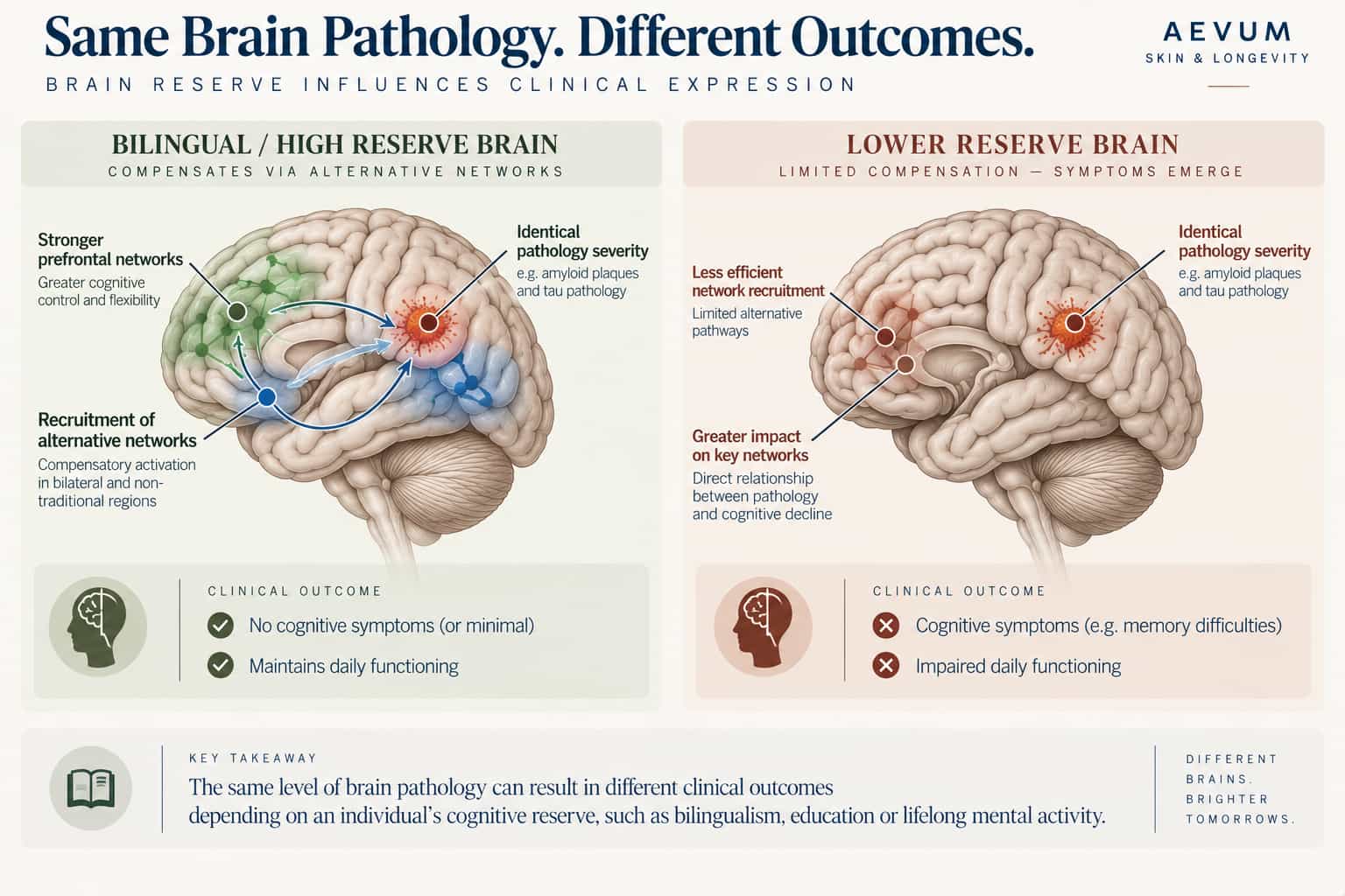 Diagram showing two brains with identical pathology severity but different clinical outcomes depending on cognitive reserve — high-reserve brain compensating via alternative networks, lower-reserve brain showing direct symptom correlation with pathology
