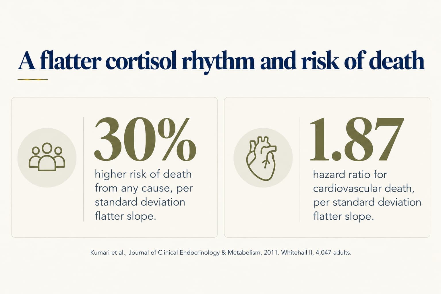 Stat tiles: a flatter cortisol slope was linked to a 30% higher risk of death from any cause and a hazard ratio of 1.87 for cardiovascular death, per standard deviation flatter slope (Kumari et al., Journal of Clinical Endocrinology & Metabolism, 2011, Whitehall II, 4,047 adults)