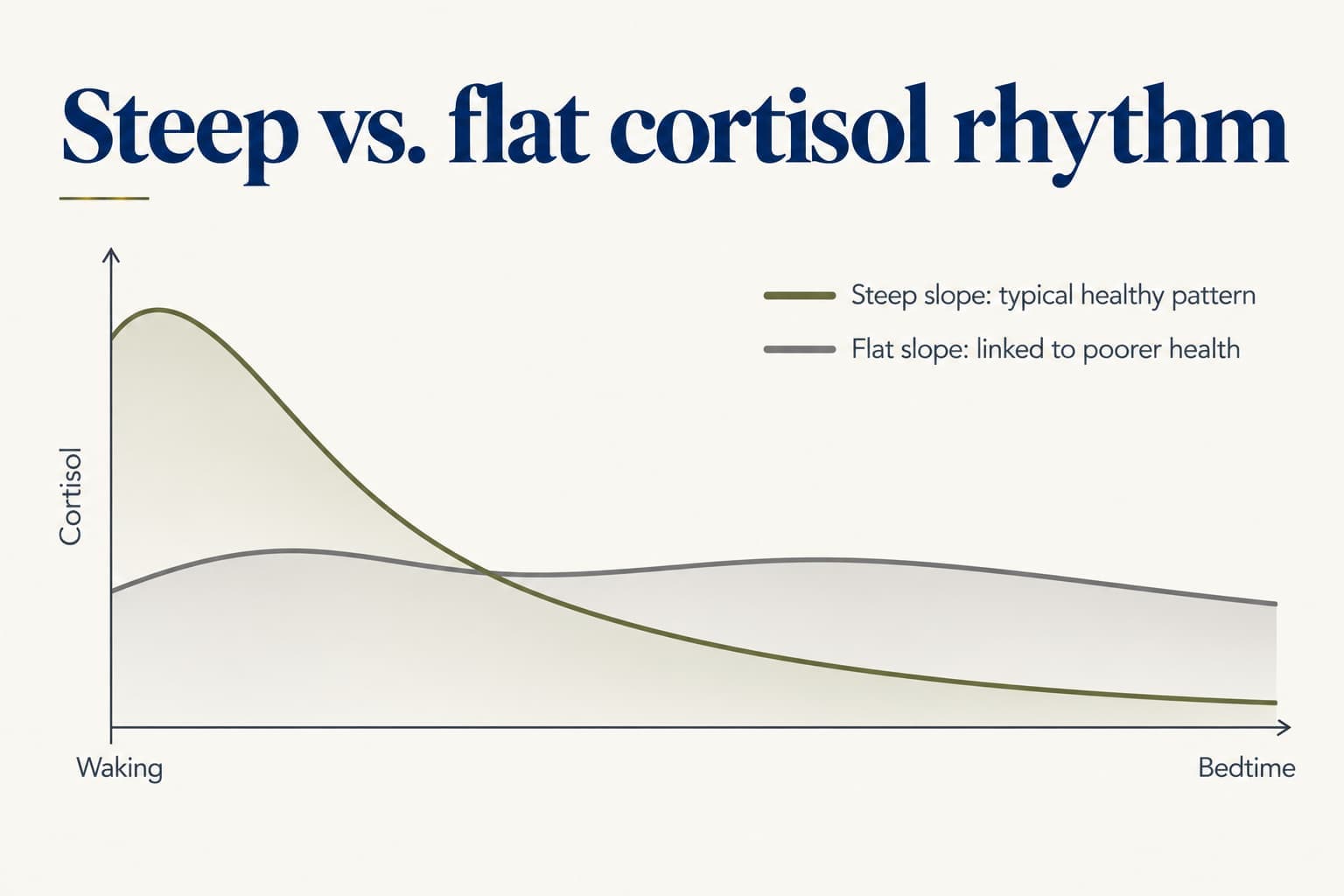 Two cortisol curves from waking to bedtime: a steep slope, high at waking and low at bedtime, the typical healthy pattern; and a flat slope, lower at waking and higher at bedtime, linked to poorer health