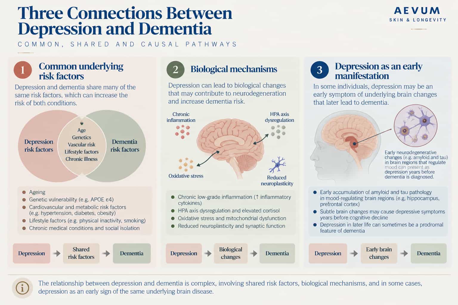 Diagram of three connections between depression and dementia: shared risk factors such as age, genetics and vascular risk; biological mechanisms such as inflammation and elevated cortisol; and depression as an early symptom of underlying brain changes