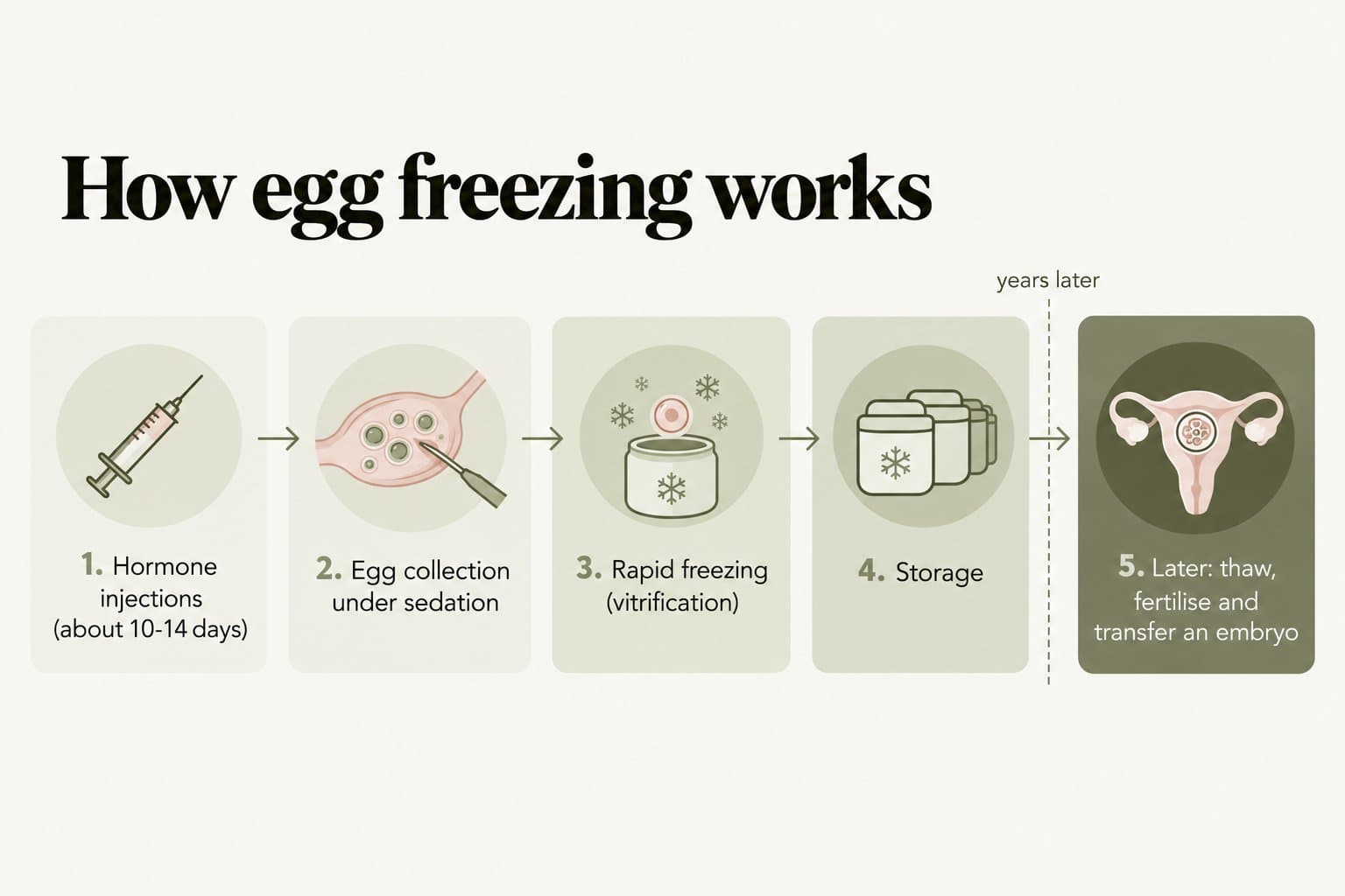 Process diagram, how egg freezing works: 1. hormone injections for about 10-14 days, 2. egg collection under sedation, 3. rapid freezing (vitrification), 4. storage, then years later 5. thaw, fertilise and transfer an embryo