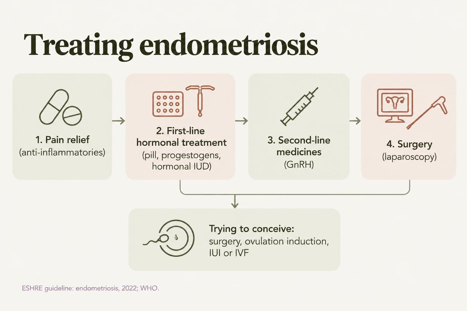 Treatment pathway, treating endometriosis: 1. pain relief (anti-inflammatories), 2. first-line hormonal treatment (pill, progestogens, hormonal IUD), 3. second-line medicines (GnRH), 4. surgery (laparoscopy), with a separate path when trying to conceive: surgery, ovulation induction, IUI or IVF (ESHRE guideline: endometriosis, 2022; WHO)