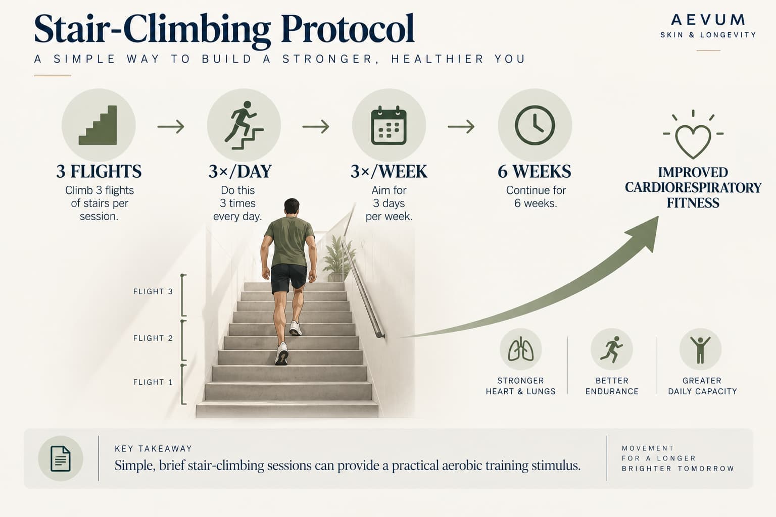 Diagram of the stair-climbing exercise-snack protocol — 3 flights per session, 3 times a day, 3 days a week, for 6 weeks, leading to improved cardiorespiratory fitness