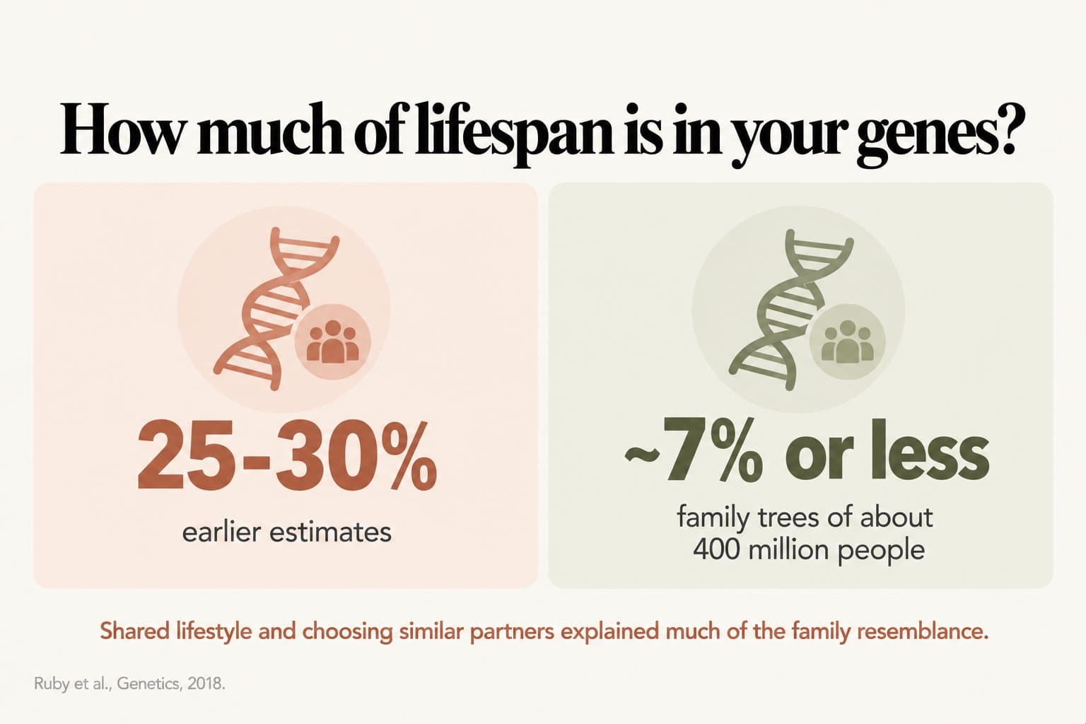 Comparison tiles, how much of lifespan is in your genes? Earlier estimates were 25-30%, while family trees of about 400 million people suggest about 7% or less; shared lifestyle and choosing similar partners explained much of the family resemblance (Ruby et al., Genetics, 2018)