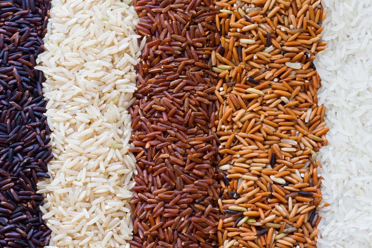 White rice, red rice, and brown rice side by side