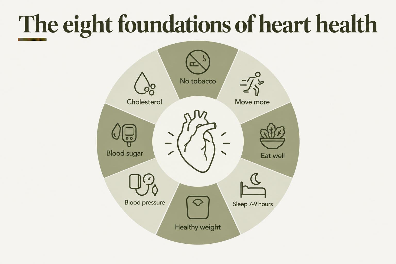 Circular diagram, the eight foundations of heart health: no tobacco, move more, eat well, sleep 7-9 hours, healthy weight, blood pressure, blood sugar and cholesterol, arranged around a heart