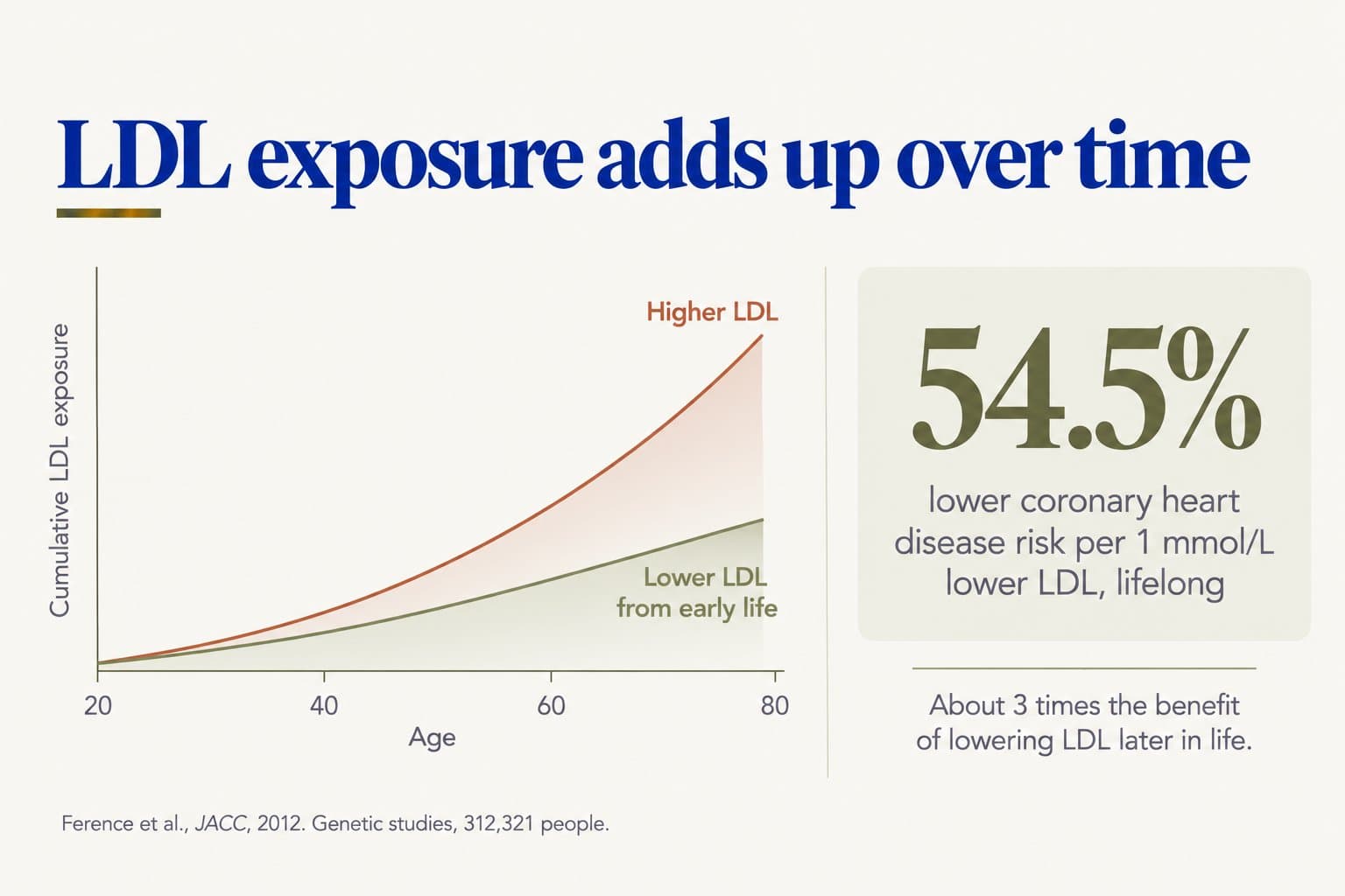 Graphic, LDL exposure adds up over time: cumulative LDL exposure from age 20 to 80 rises much more steeply with higher LDL than with lower LDL from early life; lifelong lower LDL was linked to 54.5% lower coronary heart disease risk per 1 mmol/L, about 3 times the benefit of lowering LDL later in life (Ference et al., JACC, 2012, genetic studies, 312,321 people)