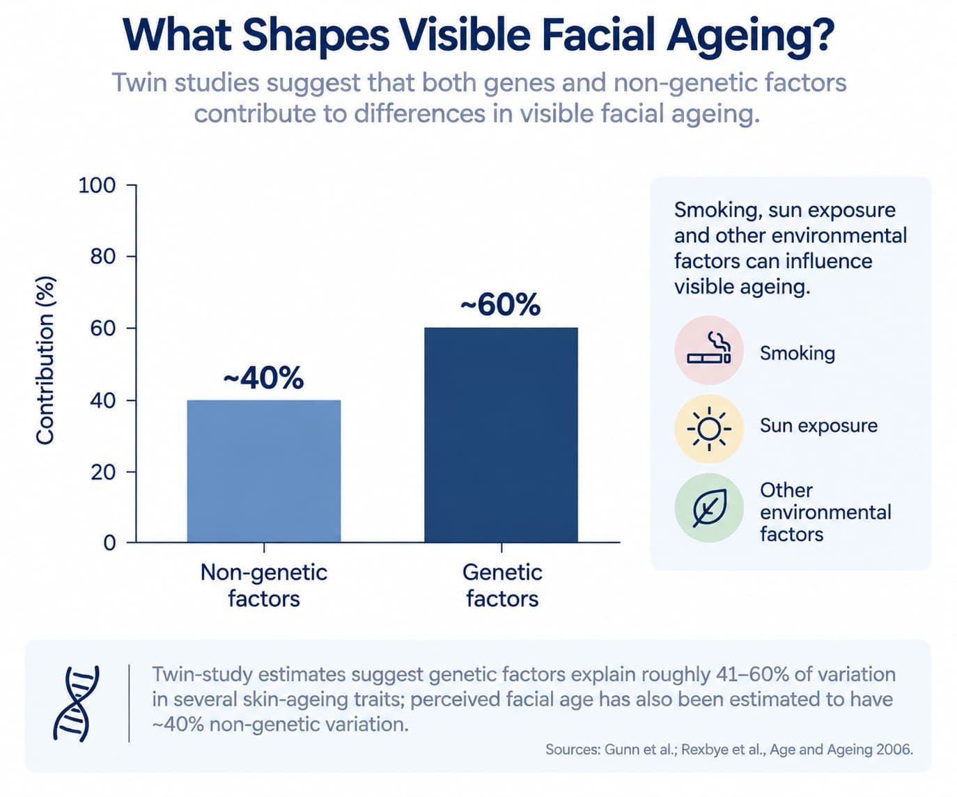 A bar chart showing the roughly 40/60 split between non-genetic and genetic contributions to visible facial ageing found in twin studies