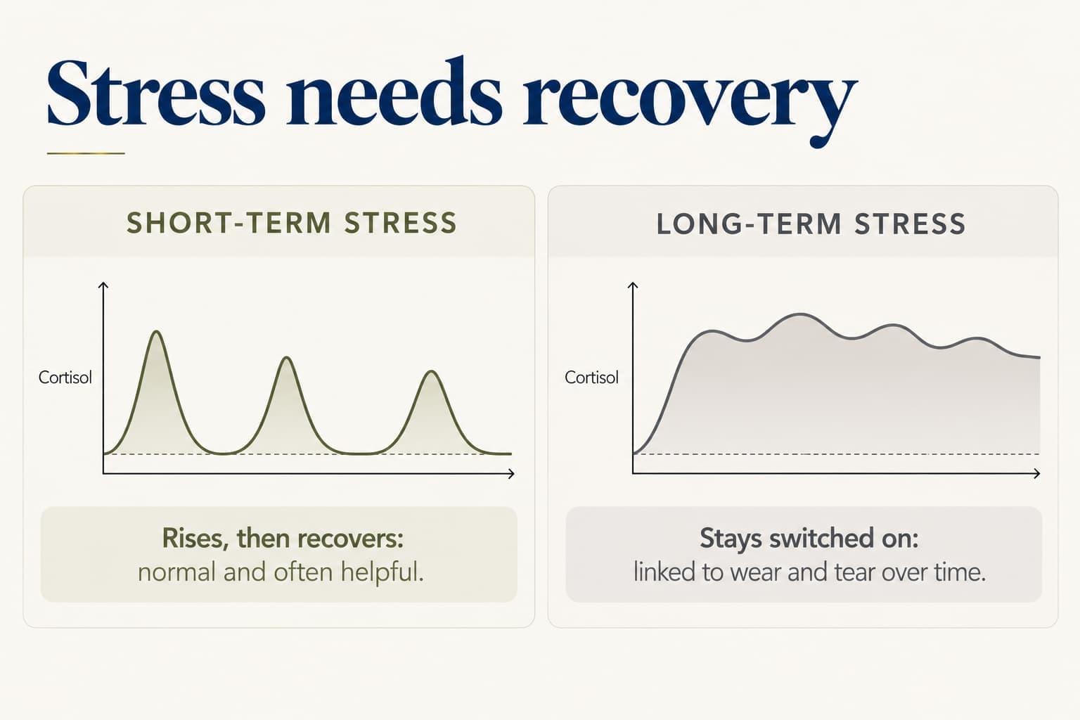Two-panel comparison, stress needs recovery: short-term stress shows cortisol peaks that return to baseline, normal and often helpful; long-term stress shows cortisol that rises and stays high, linked to wear and tear over time