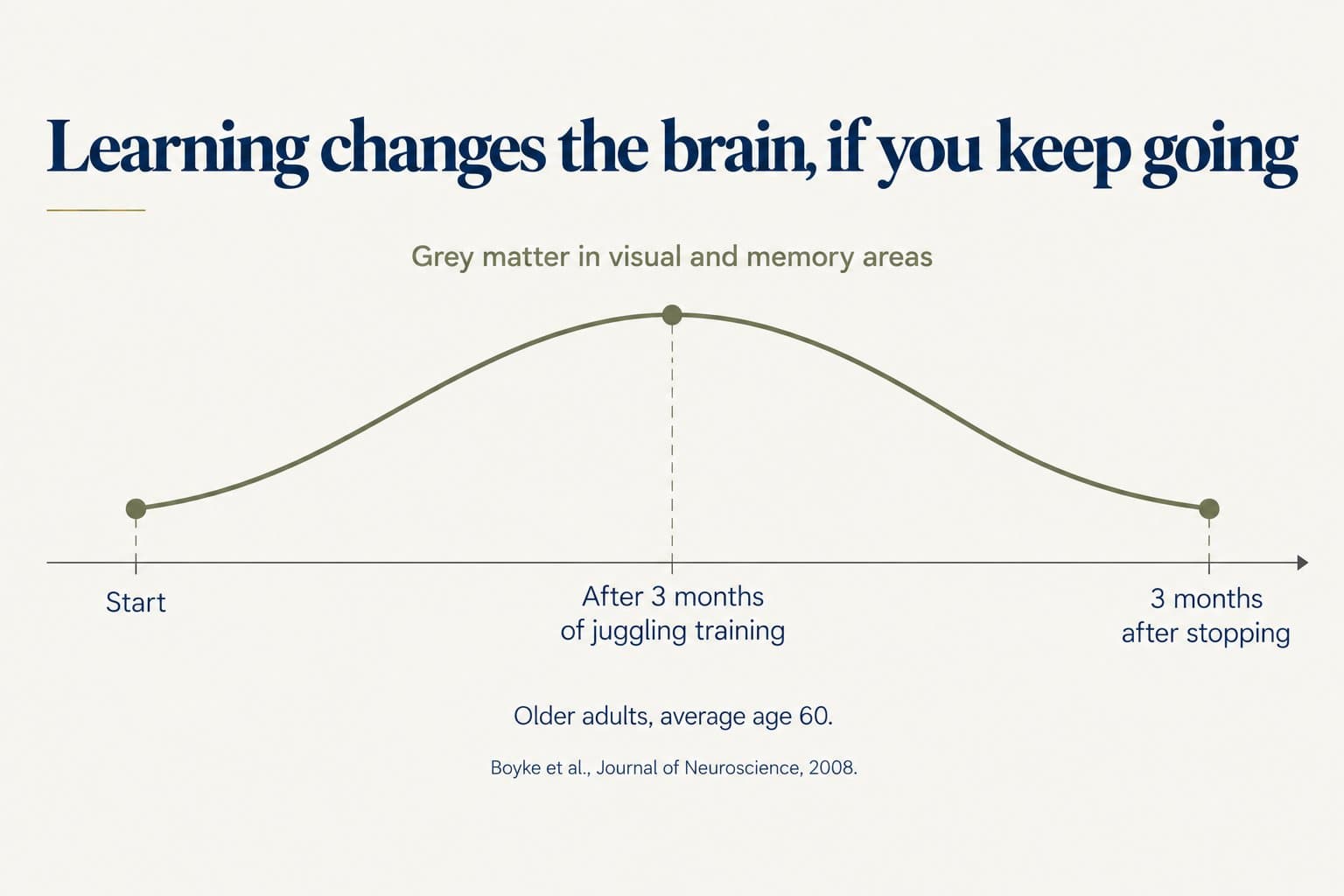 Timeline diagram: grey matter in visual and memory areas rises from the start to a peak after 3 months of juggling training, then falls back to near the starting level 3 months after stopping, in older adults with an average age of 60 (Boyke et al., Journal of Neuroscience, 2008)