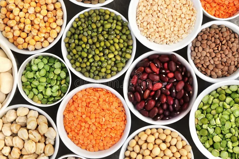 Assorted dried legumes in bowls — lentils, chickpeas, mung beans, kidney beans