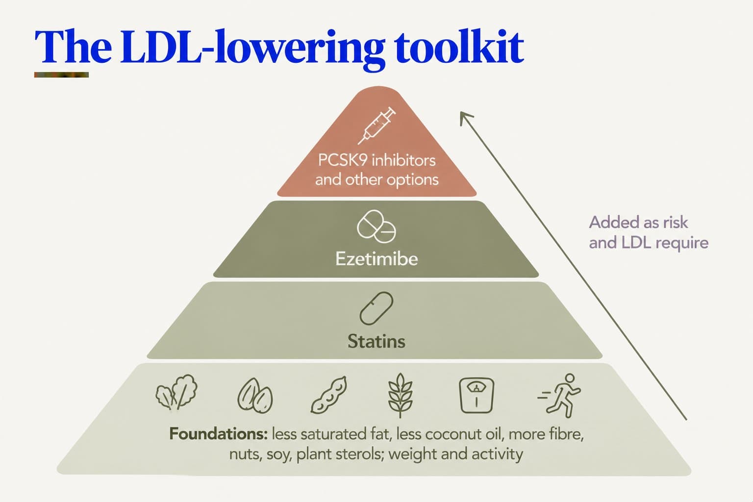Pyramid diagram, the LDL-lowering toolkit: foundations of less saturated fat, less coconut oil, more fibre, nuts, soy, plant sterols, weight and activity; then statins; then ezetimibe; then PCSK9 inhibitors and other options at the top, added as risk and LDL require