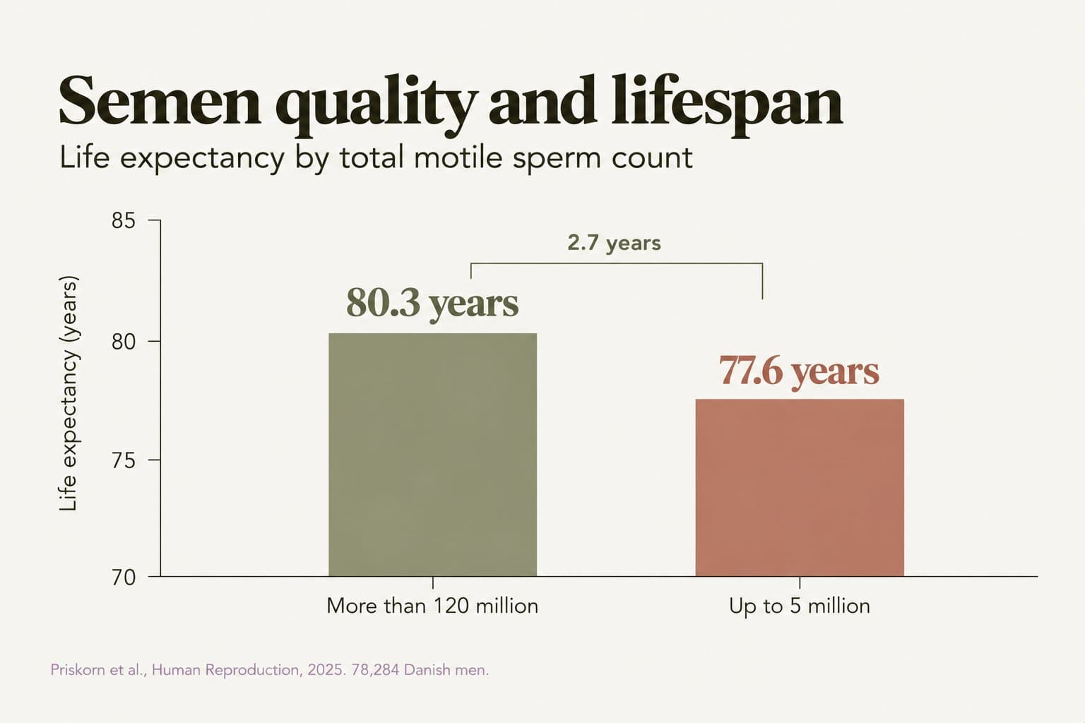 Bar chart, semen quality and lifespan: life expectancy was 80.3 years in men with a total motile sperm count of more than 120 million and 77.6 years in men with up to 5 million, a 2.7-year difference (Priskorn et al., Human Reproduction, 2025, 78,284 Danish men)