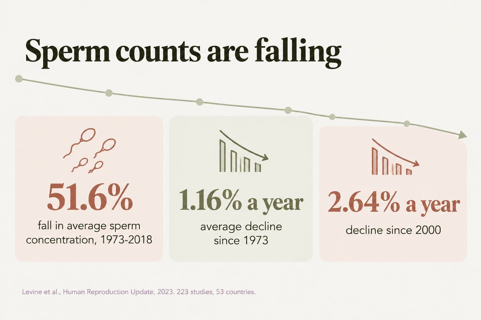 Stat tiles, sperm counts are falling: a 51.6% fall in average sperm concentration from 1973 to 2018, an average decline of 1.16% a year since 1973, and 2.64% a year since 2000 (Levine et al., Human Reproduction Update, 2023, 223 studies, 53 countries)