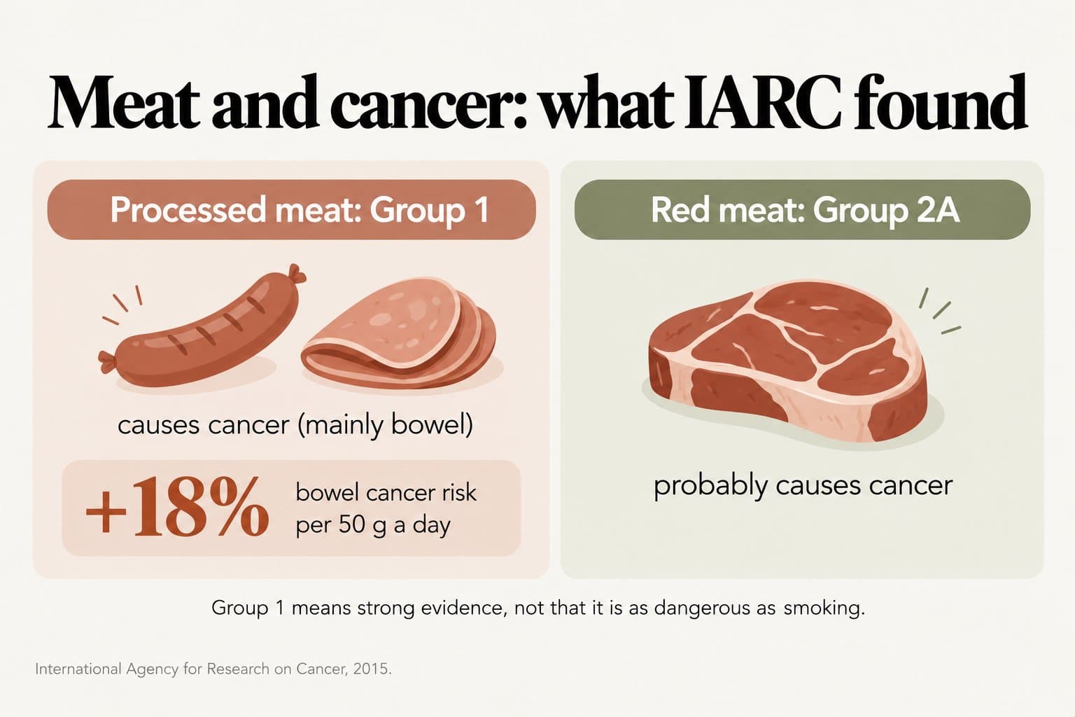 Diagram, meat and cancer: what IARC found. Processed meat is Group 1 and causes cancer, mainly bowel, with an 18% higher bowel cancer risk per 50 g a day; red meat is Group 2A and probably causes cancer. Group 1 means strong evidence, not that it is as dangerous as smoking (International Agency for Research on Cancer, 2015)