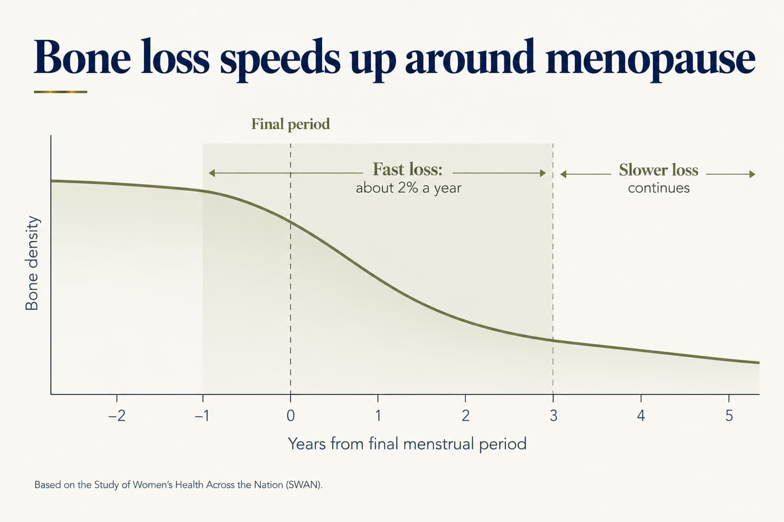 Line chart of bone density by years from the final menstrual period: fast loss of about 2% a year from one year before the final period to about three years after, then slower loss continuing (based on the Study of Women's Health Across the Nation, SWAN)