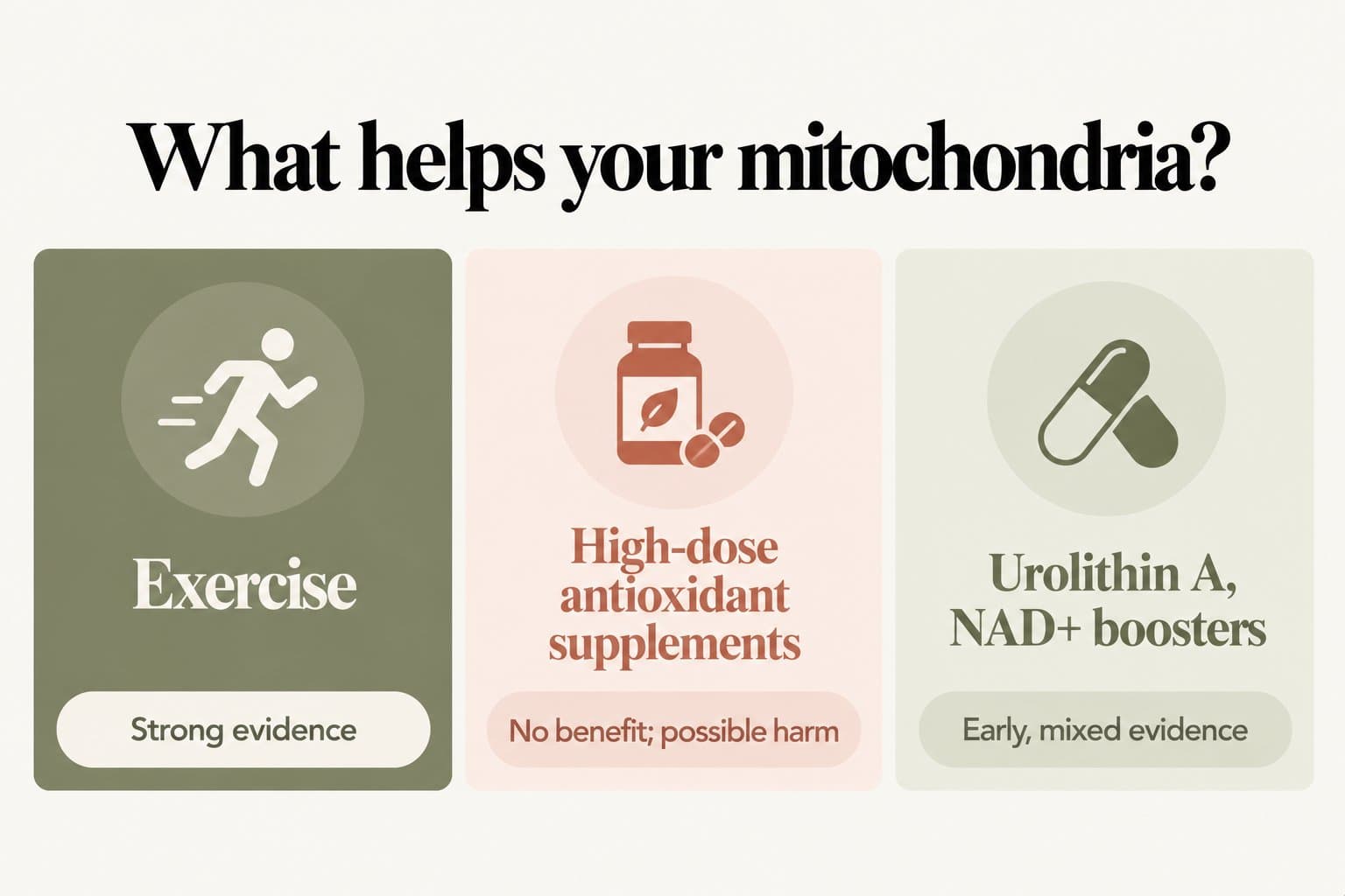 Evidence panel, what helps your mitochondria? Exercise has strong evidence; high-dose antioxidant supplements show no benefit and possible harm; urolithin A and NAD+ boosters have early, mixed evidence
