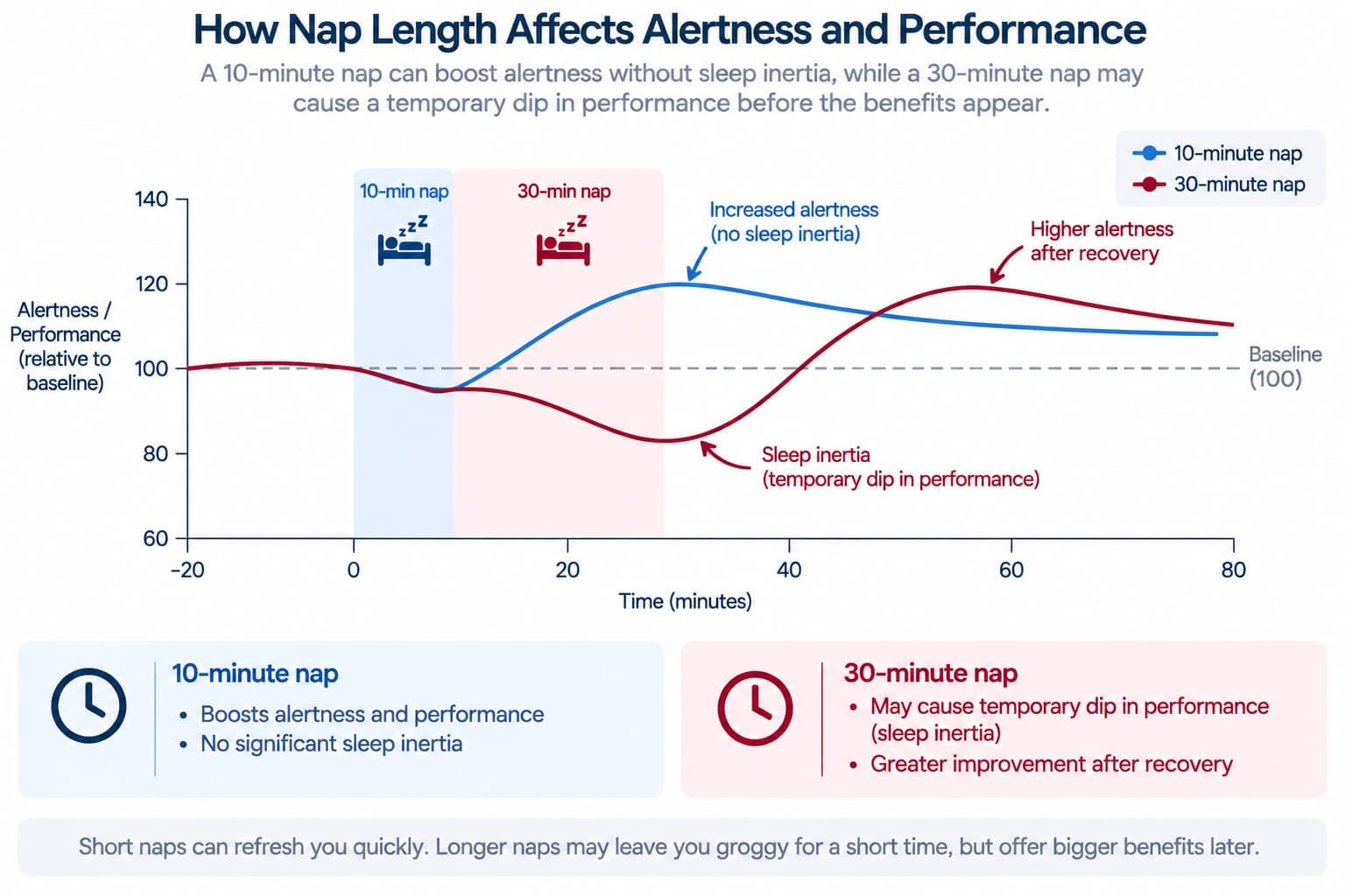 A chart showing alertness and performance changes over time for a 10-minute nap versus a 30-minute nap, illustrating the sleep inertia dip