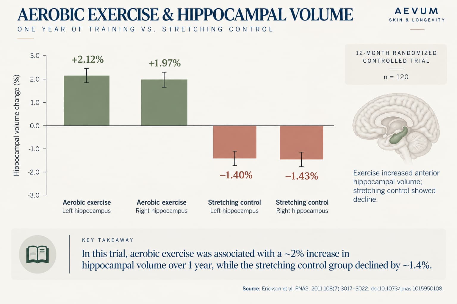Bar chart comparing hippocampal volume change over one year: aerobic exercise group increased 2.12% (left) and 1.97% (right), while stretching-control group declined 1.40% and 1.43%