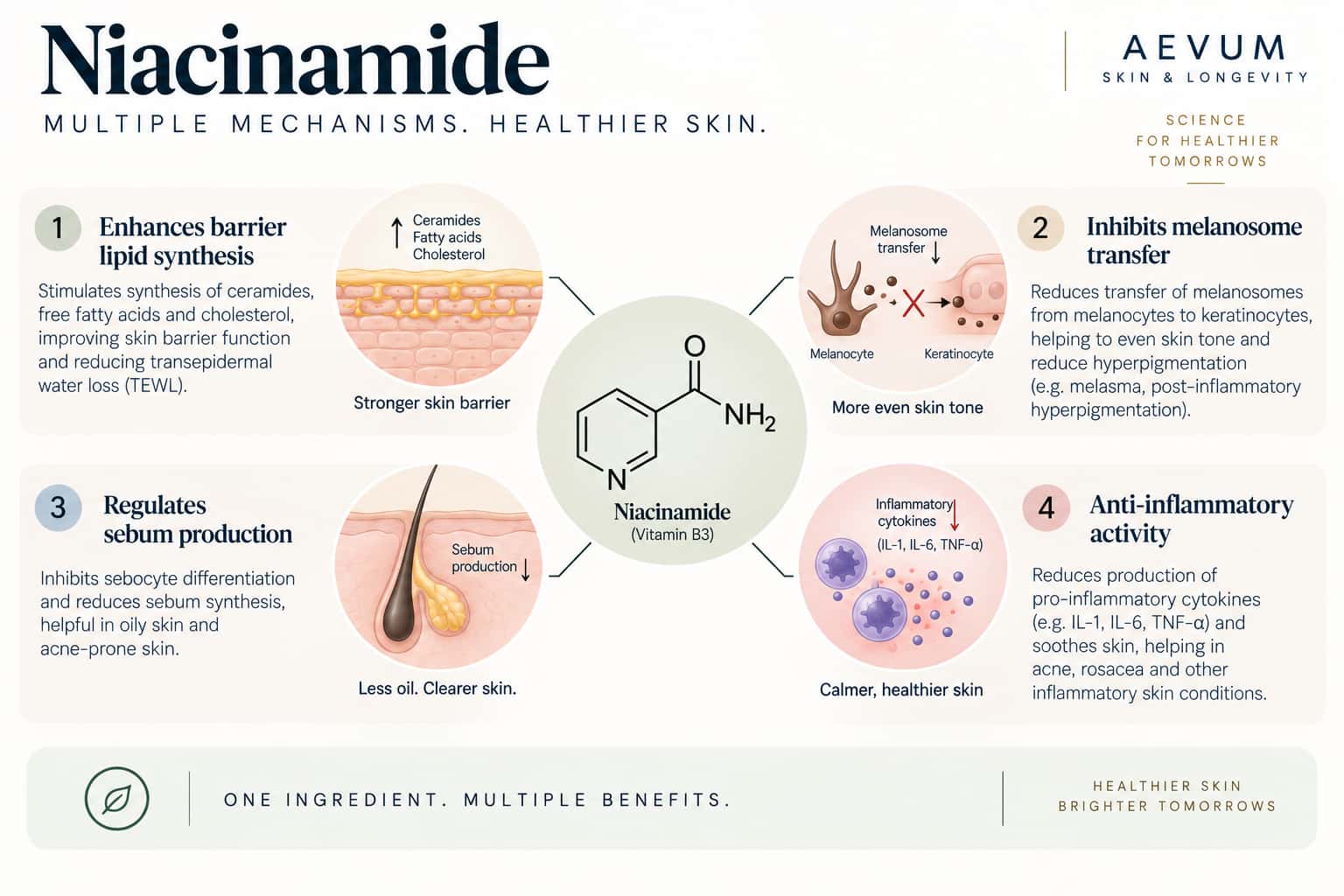 A diagram showing niacinamide's several distinct mechanisms — barrier lipid synthesis, melanosome transfer inhibition, sebum regulation, and anti-inflammatory activity — radiating from one molecule