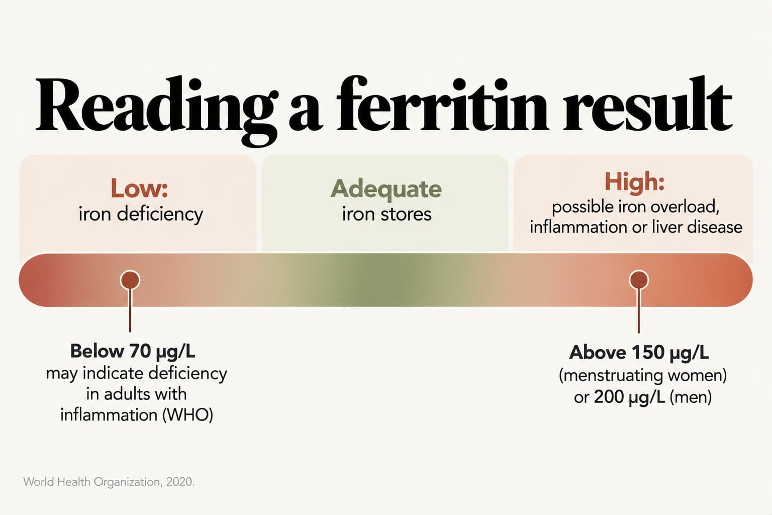 Scale diagram, reading a ferritin result: low ferritin indicates iron deficiency, with below 70 µg/L possibly indicating deficiency in adults with inflammation; the middle range reflects adequate iron stores; high ferritin, above 150 µg/L in menstruating women or 200 µg/L in men, suggests possible iron overload, inflammation or liver disease (World Health Organization, 2020)