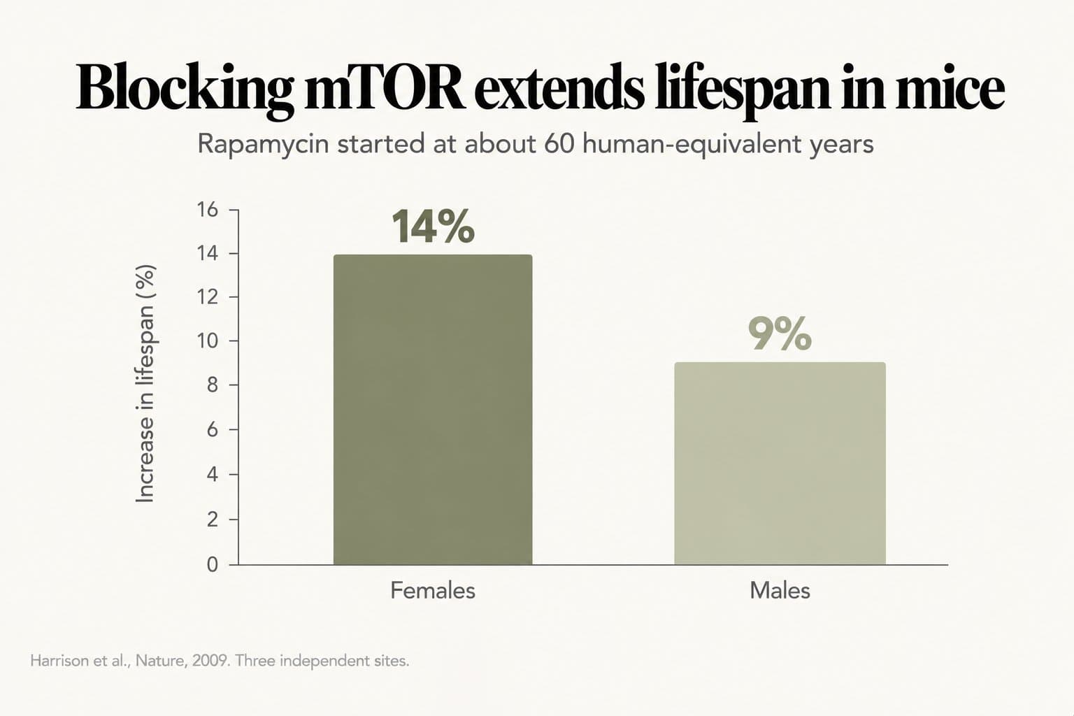 Bar chart, blocking mTOR extends lifespan in mice: rapamycin started at about 60 human-equivalent years increased lifespan by 14% in females and 9% in males (Harrison et al., Nature, 2009, three independent sites)
