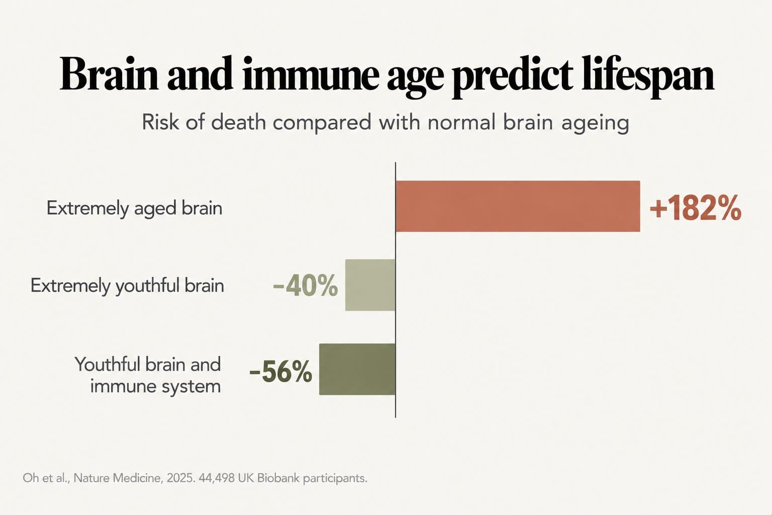 Bar chart, brain and immune age predict lifespan: compared with normal brain ageing, risk of death was 182% higher with an extremely aged brain, 40% lower with an extremely youthful brain and 56% lower with a youthful brain and immune system (Oh et al., Nature Medicine, 2025, 44,498 UK Biobank participants)