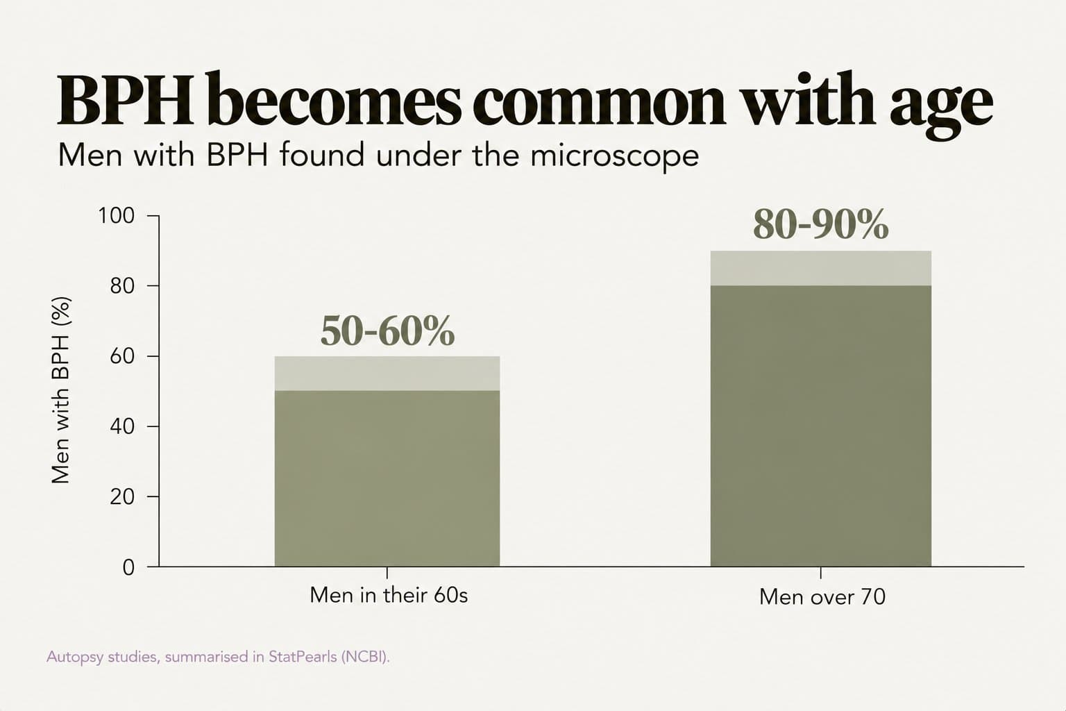 Bar chart, BPH becomes common with age: BPH is found under the microscope in 50-60% of men in their 60s and 80-90% of men over 70 (autopsy studies, summarised in StatPearls, NCBI)