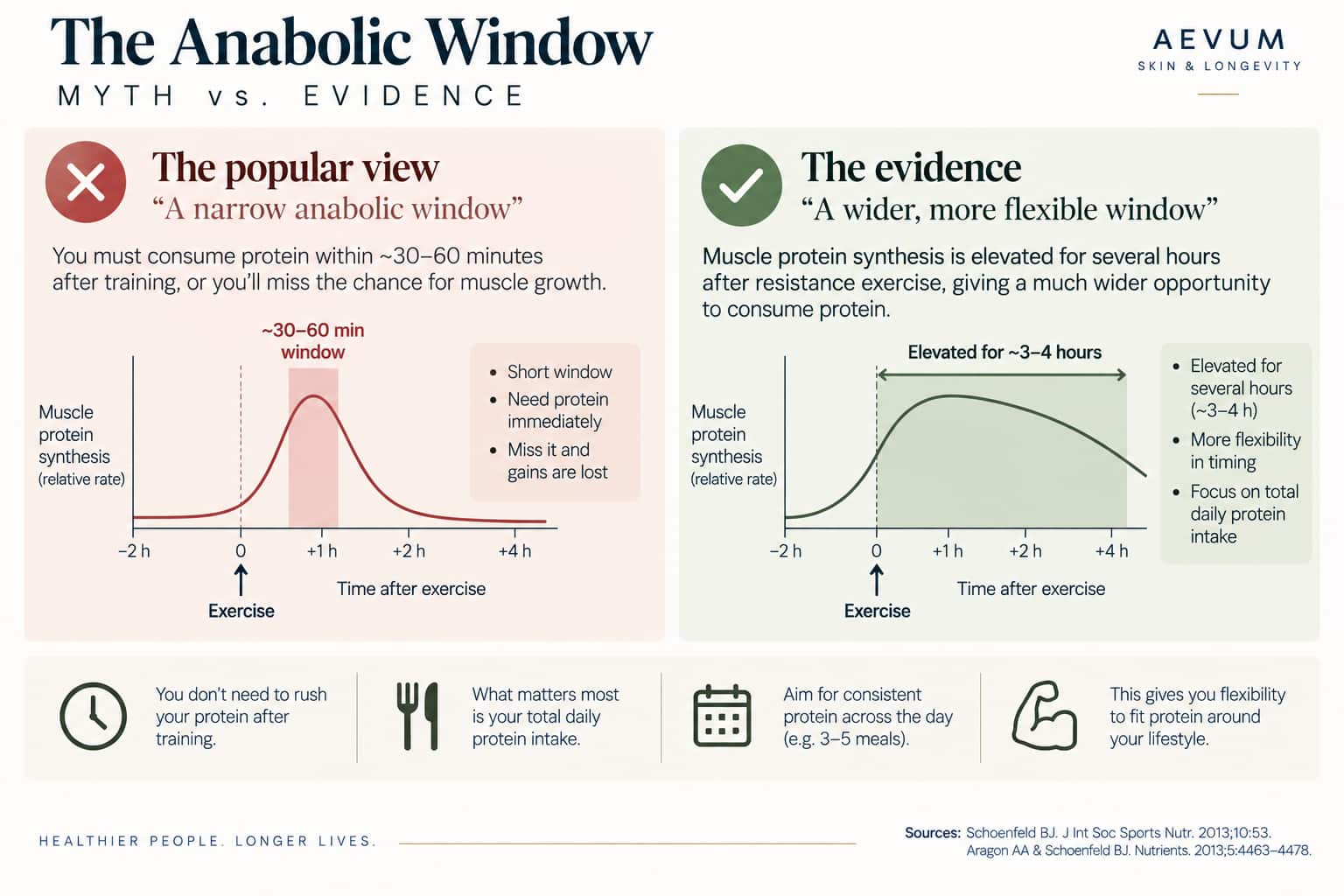 Illustration contrasting the popular narrow anabolic window concept with the research-supported wider, more flexible window concept