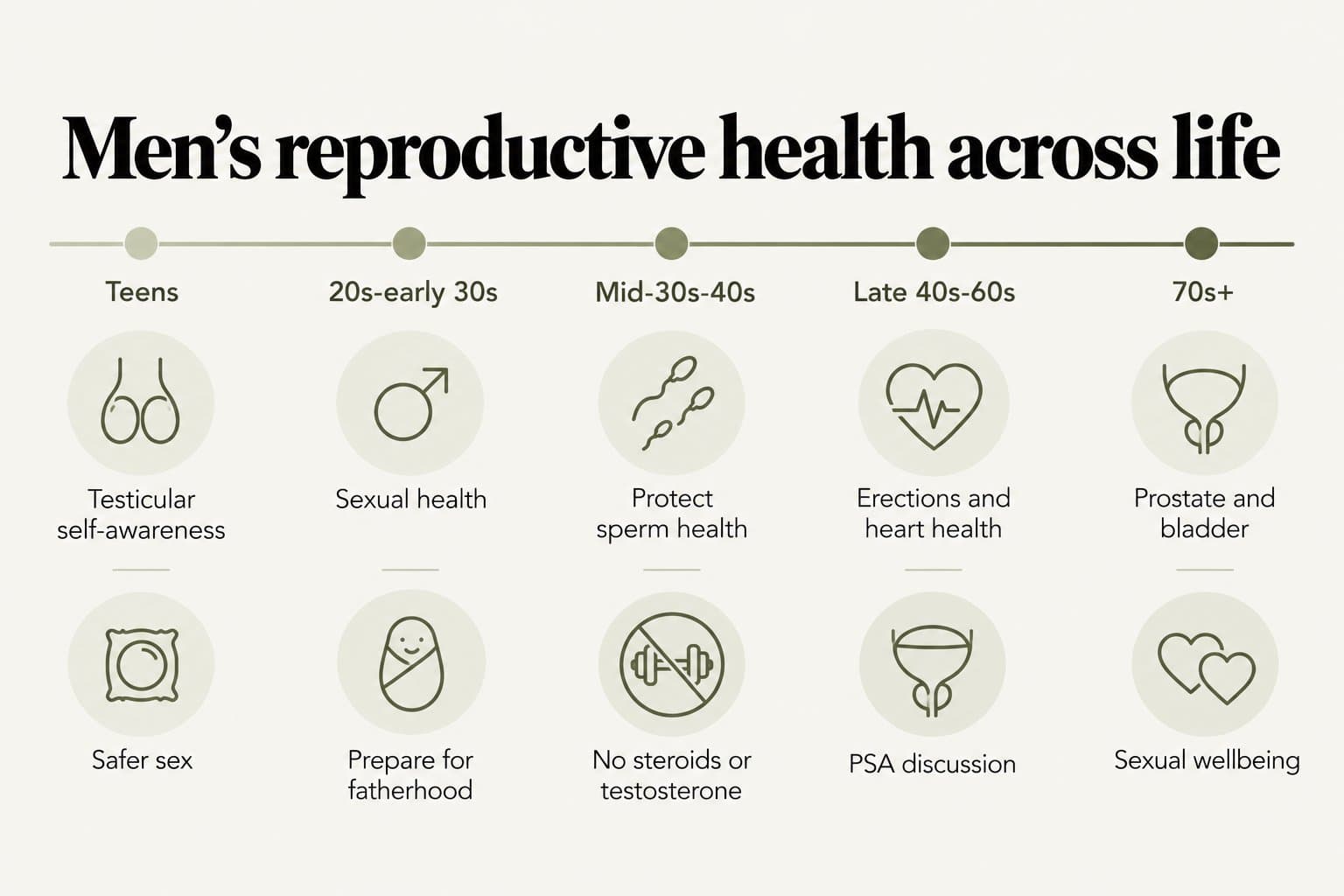 Timeline, men's reproductive health across life: teens, testicular self-awareness and safer sex; 20s to early 30s, sexual health and preparing for fatherhood; mid-30s to 40s, protecting sperm health and no steroids or testosterone; late 40s to 60s, erections and heart health and a PSA discussion; 70s and beyond, prostate and bladder and sexual wellbeing