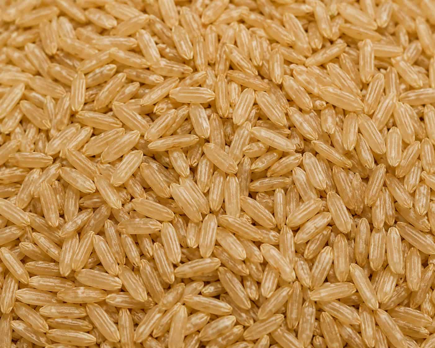 Brown rice grains