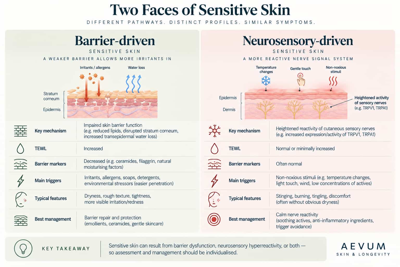 A two-column comparison showing barrier-driven versus neurosensory-driven sensitive skin profiles, based on the distinguishing research findings