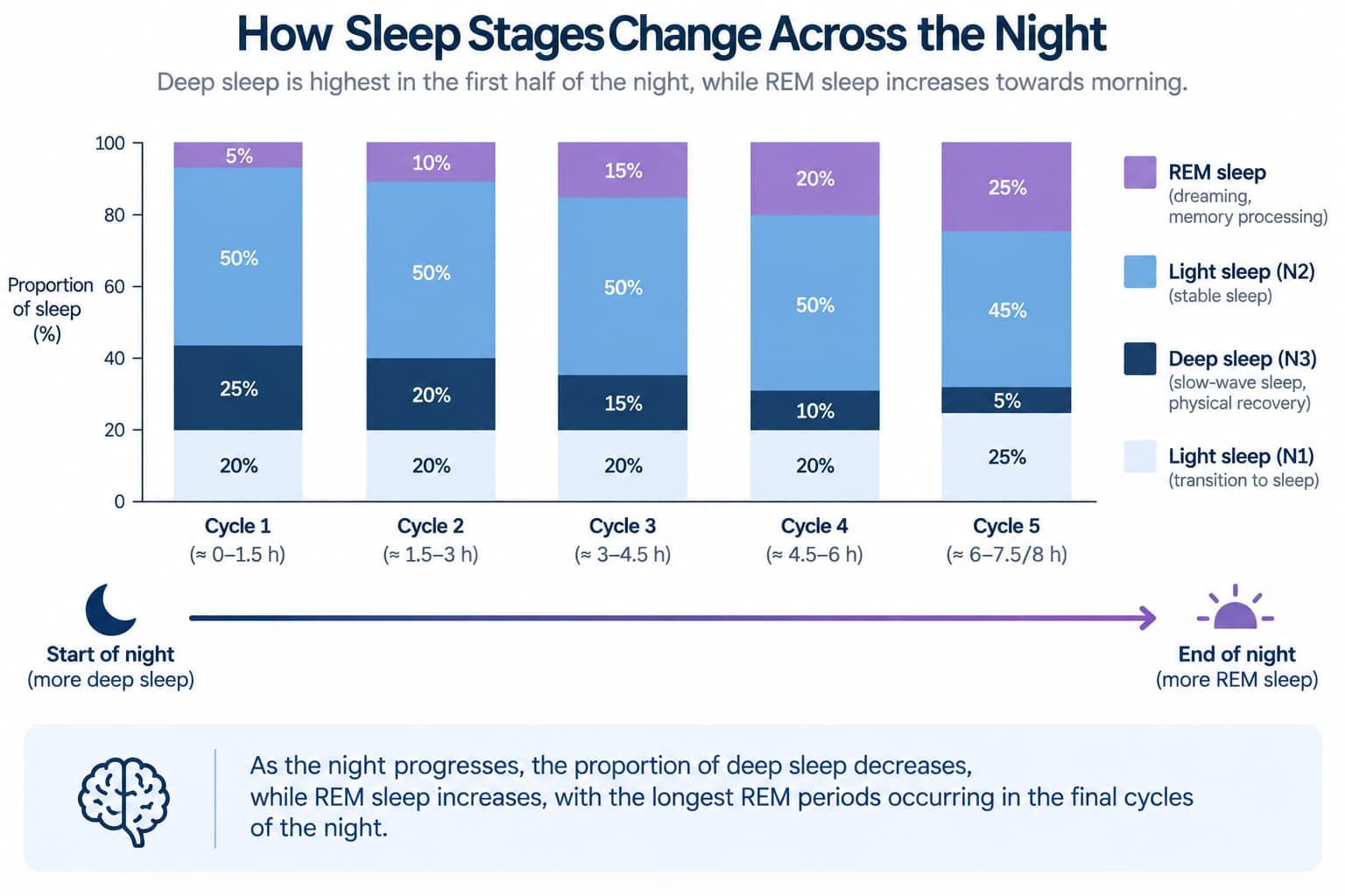 A chart showing how the proportion of deep sleep and REM shifts across successive cycles from the start to the end of the night